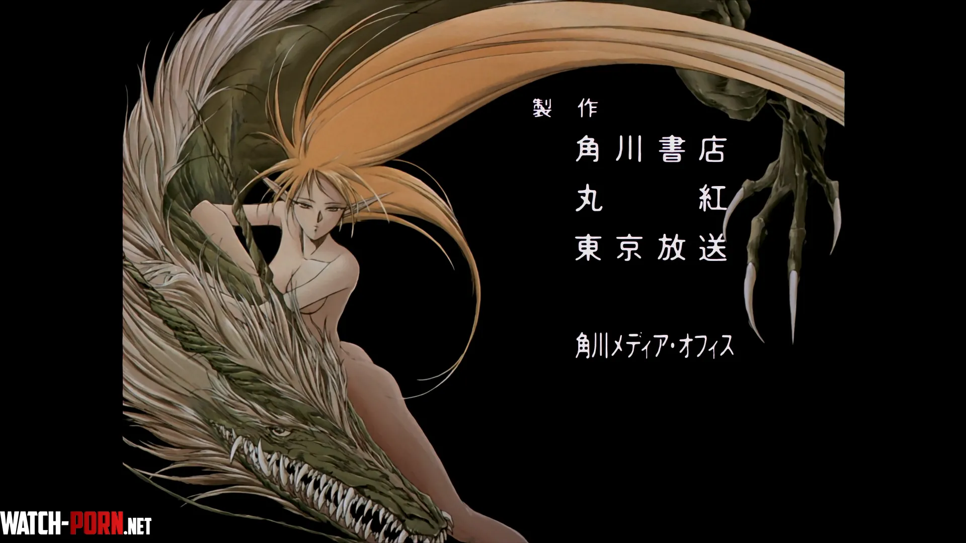 I love when they put the great retro fantasy plot in the credit from [Record of Lodoss War] by Incubusphantom