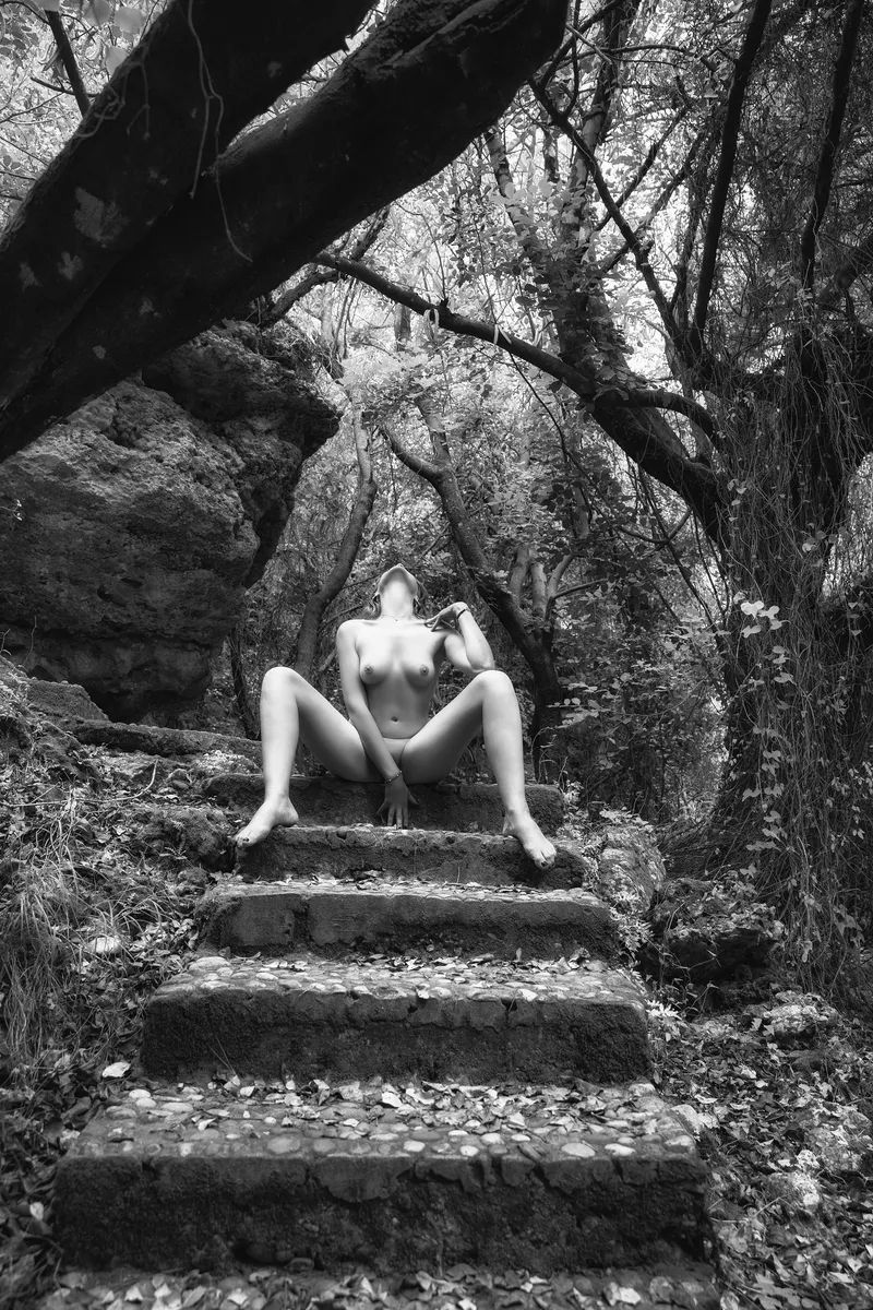 Thumbnail Dive into Feminine Beauty in the Forest with MaziarKabiri
