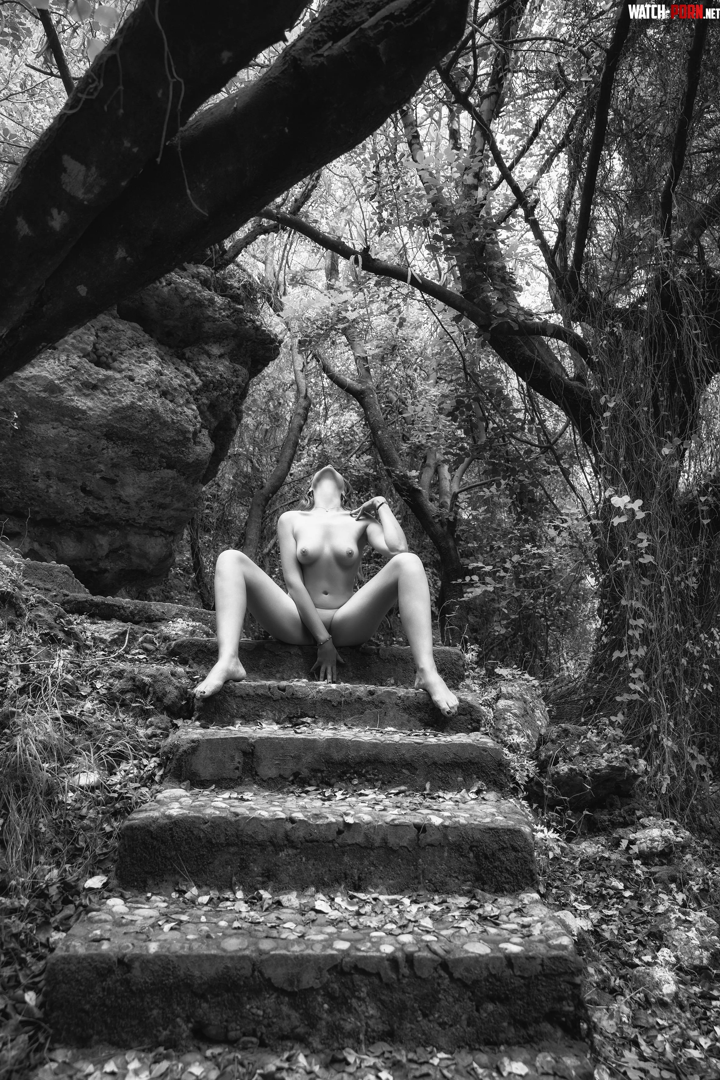 Fine Art Nude in the Forest by MaziarKabiri