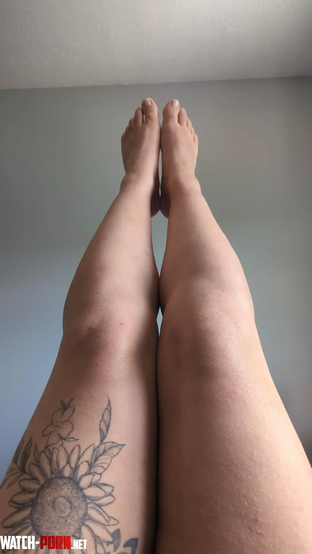 Legs up by SparklyAndSoppy