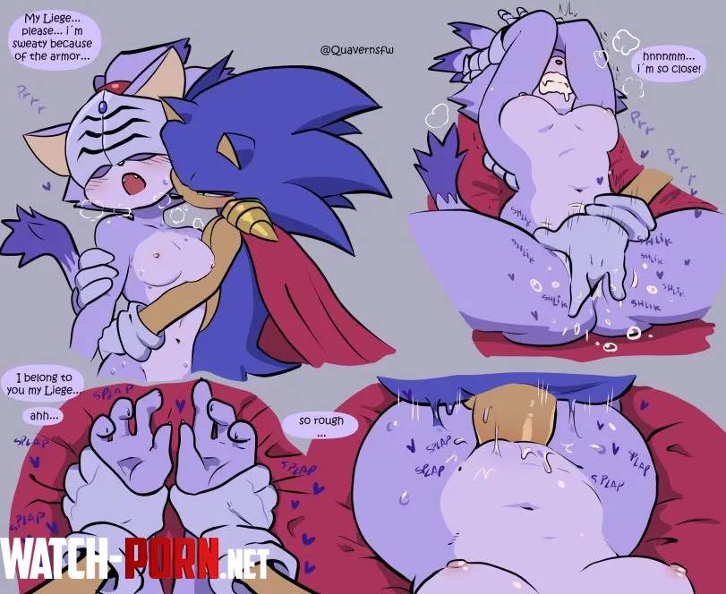 Blaze the Cat x Sonic the Hedgehog (quavernsfw) [Sonic] by Ok-Style-659
