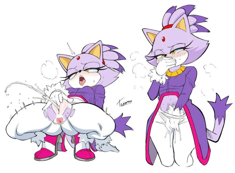 Thumbnail SonicPorn Spotlight: Blaze the Cat by Tawman art