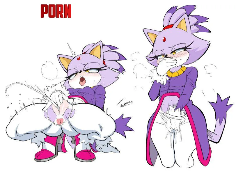 Blaze the Cat (Tawman art) [Sonic the Hedgehog] by Potential_Aioli1716