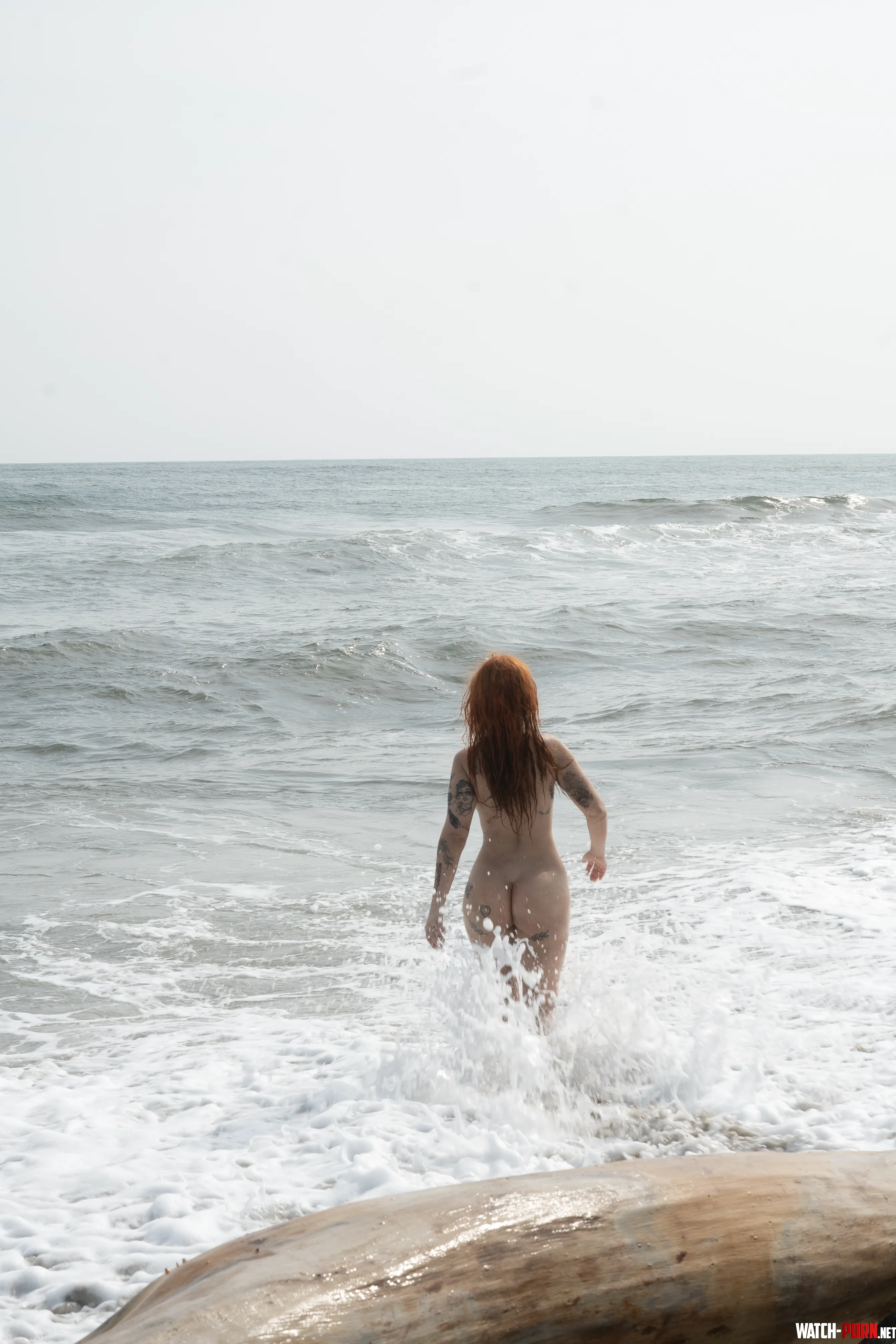 Wild and free in the waves by alejayvt