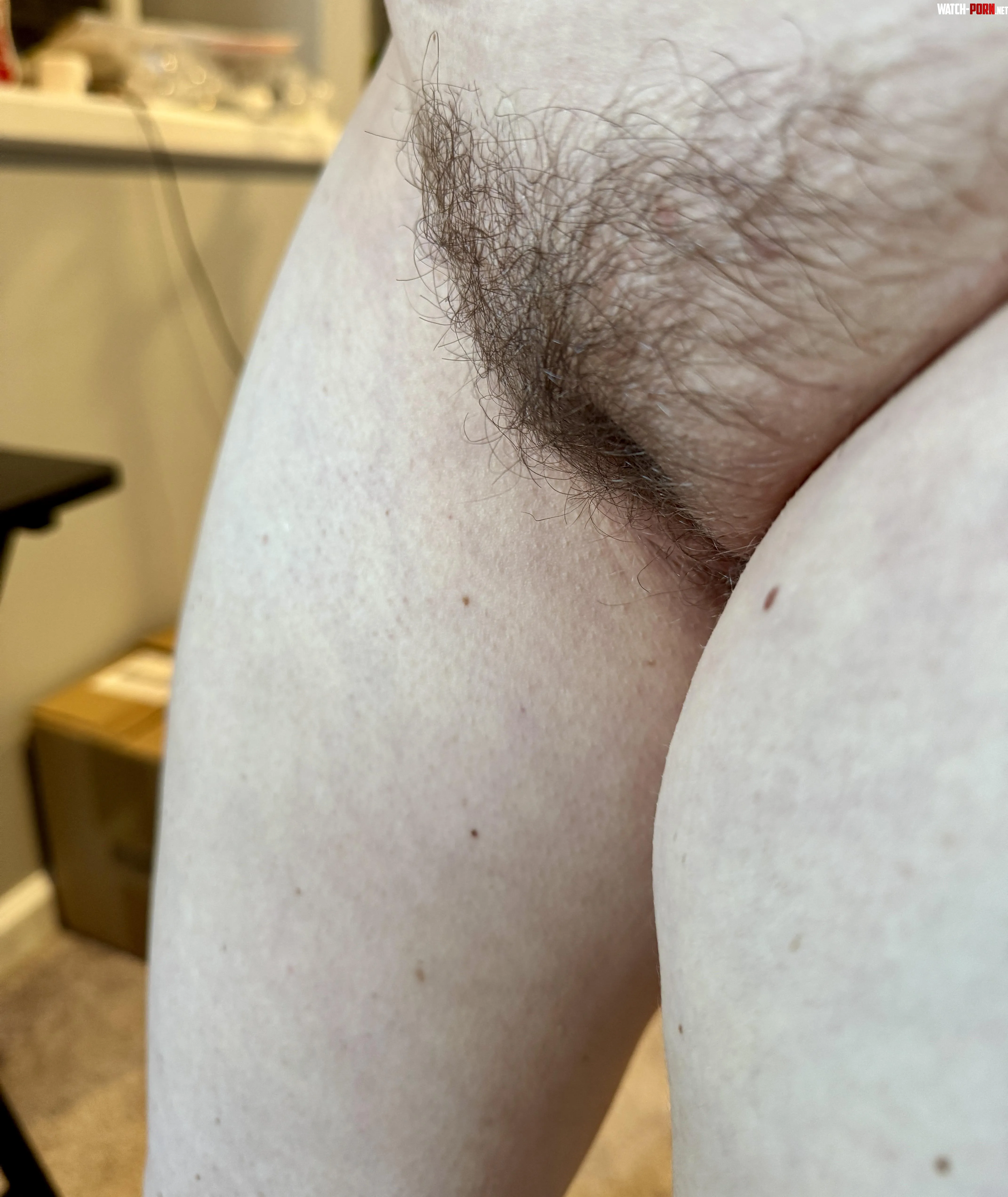 My hairy MILF mound by CougarMarie