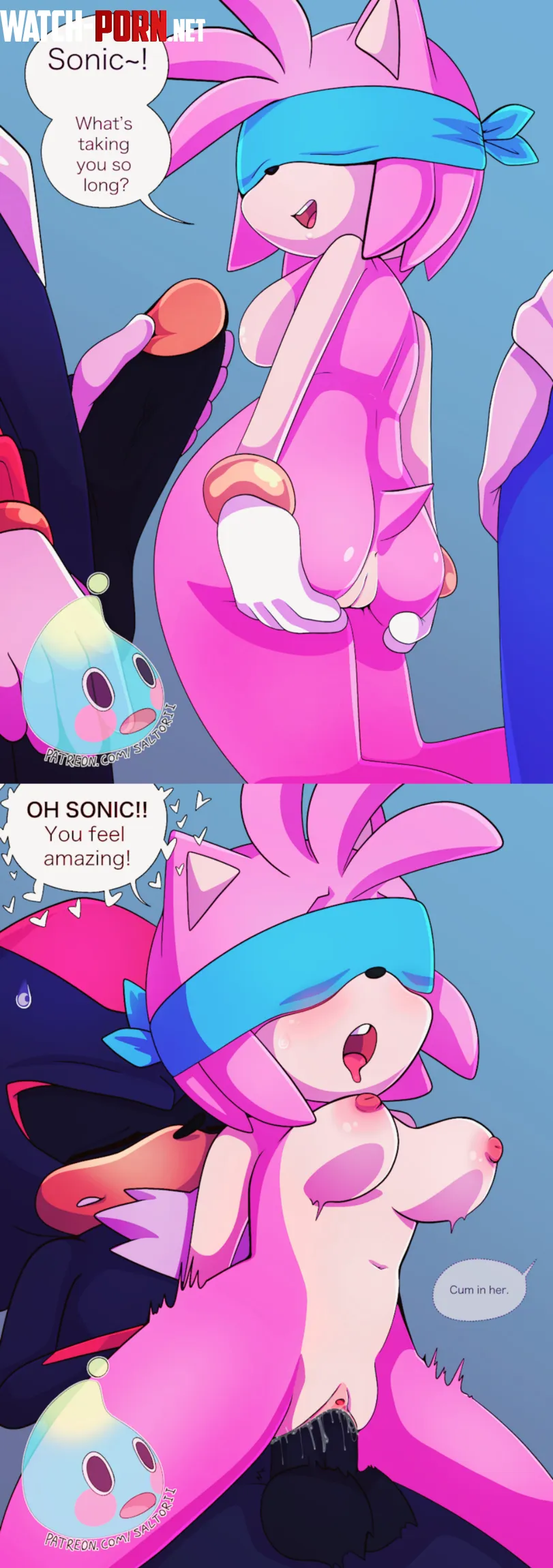 Amy Rose, Shadow the Hedgehog [Sonic the Hedgehog] (Artist Unknown) by HoneyBite765