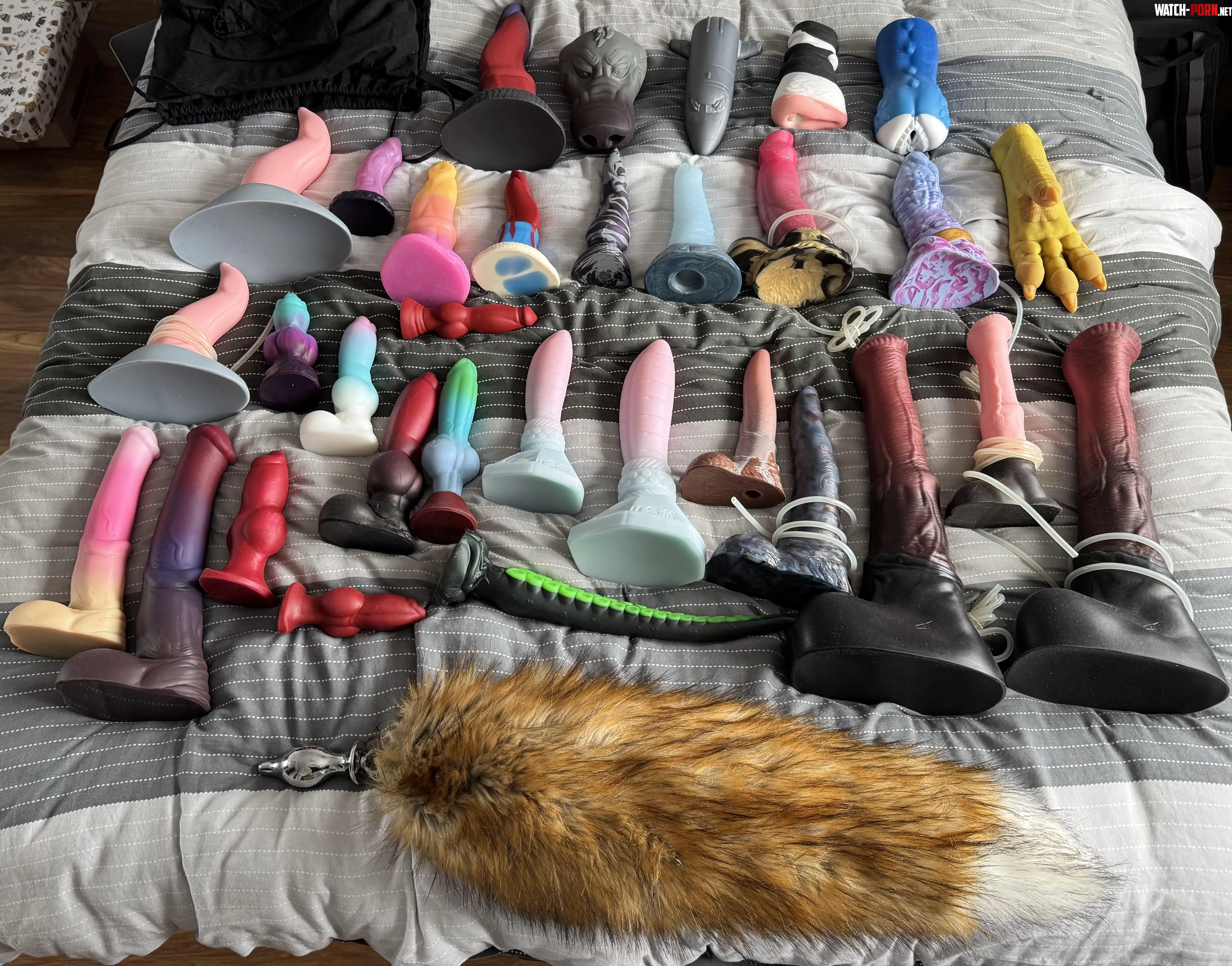 Getting my collection ready for the summer. by DoAsYouPleaseSir
