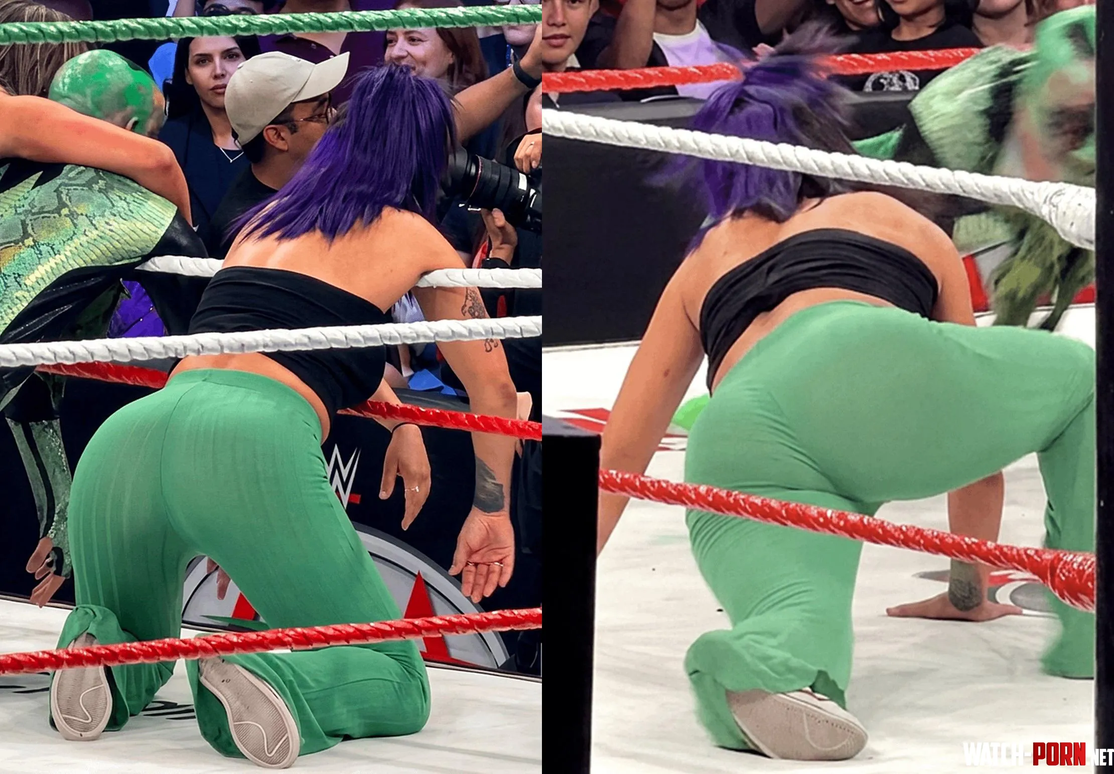 Bayley by SheetAcrobat