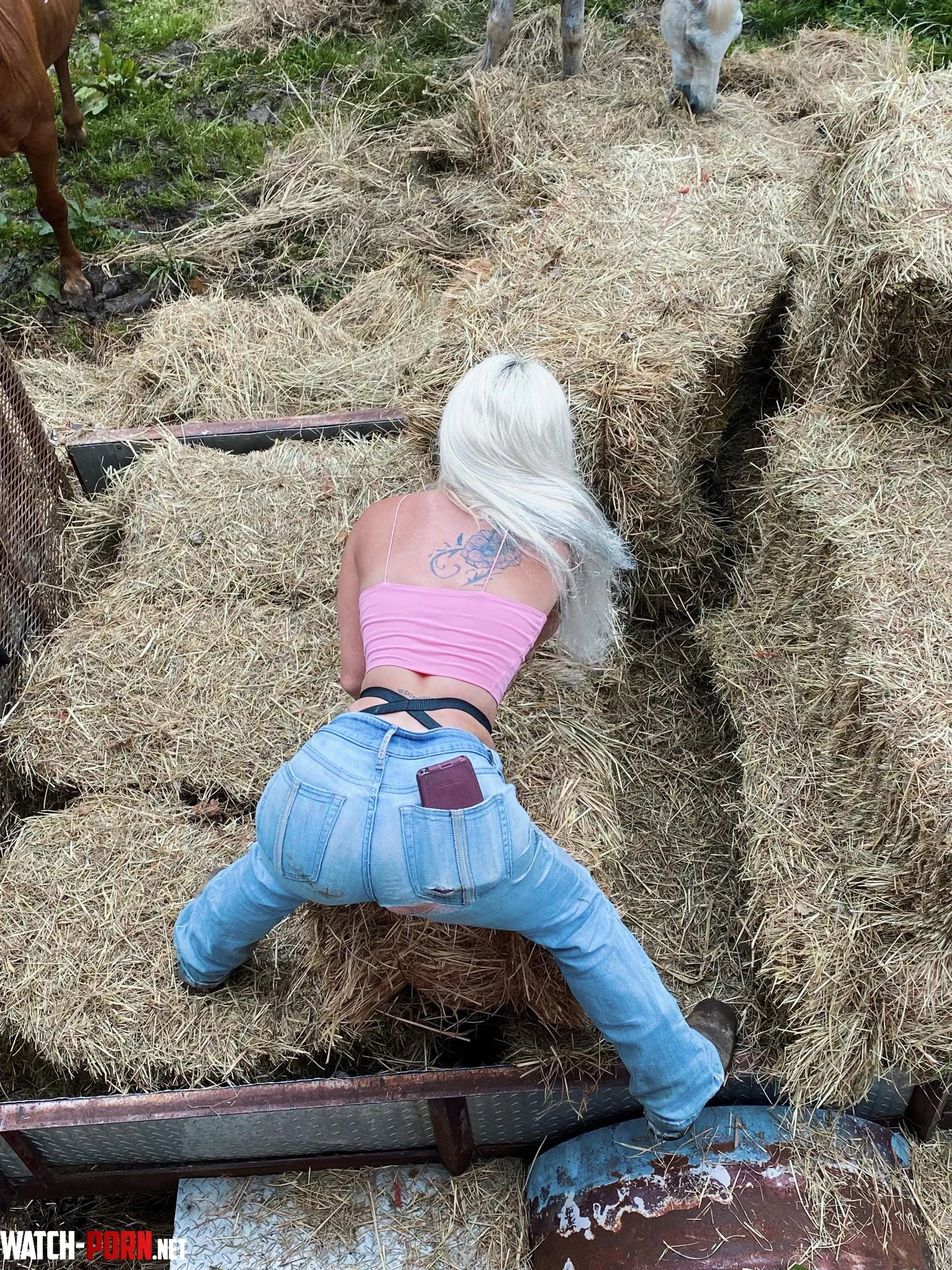 Working hard for my ponies by imcalliebaby_