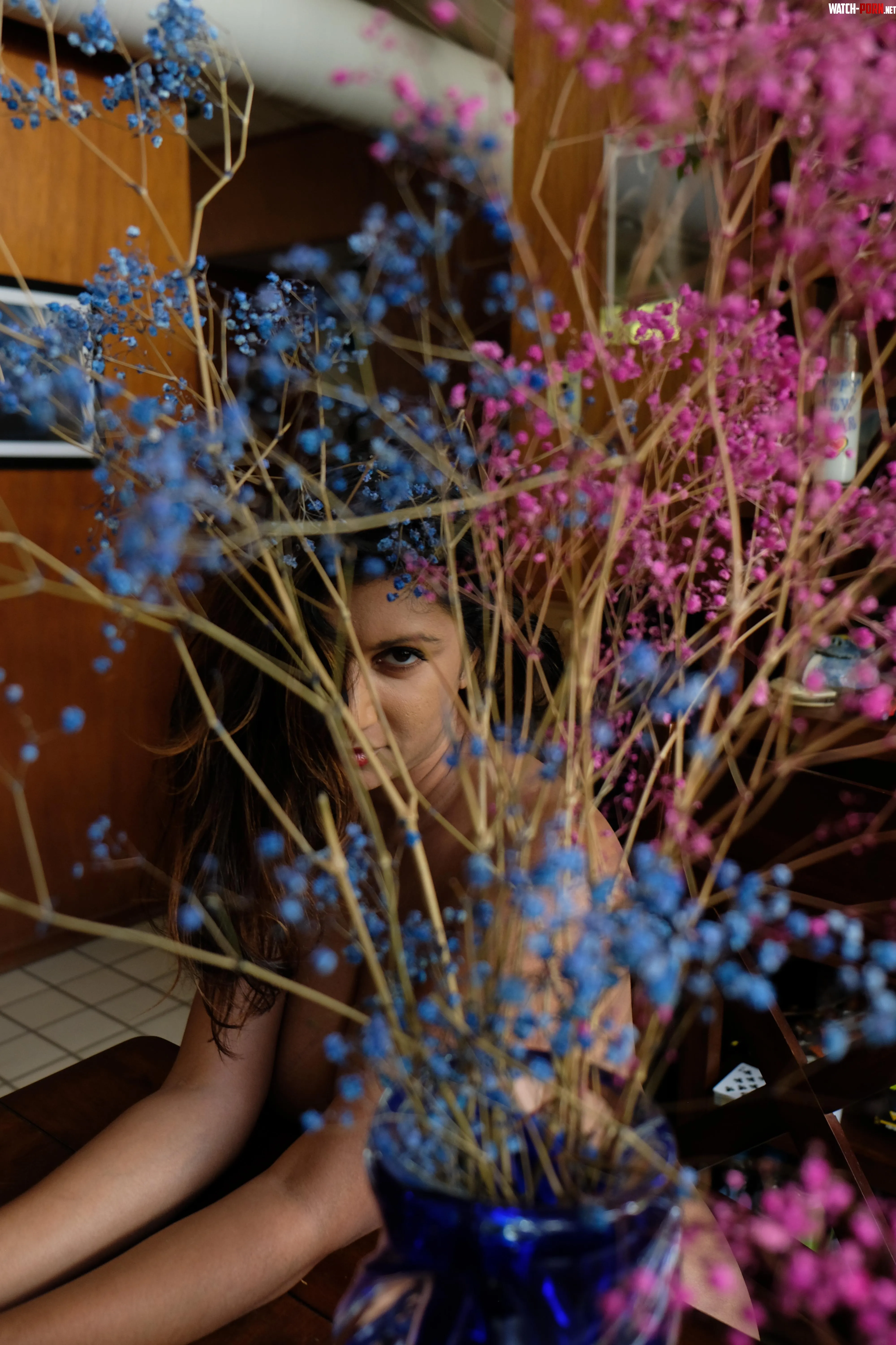 Hide by Ok_Vehicle_3679