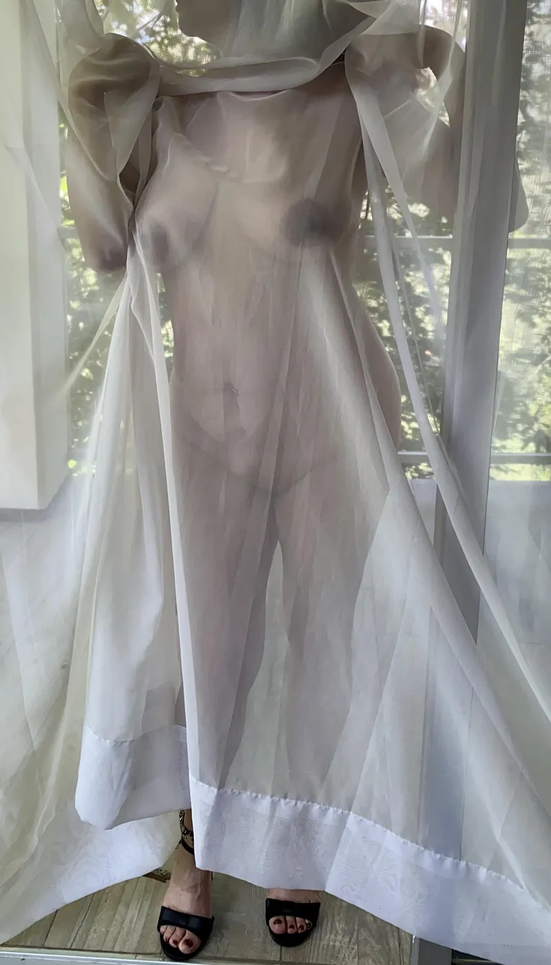 Thumbnail Revealing View: An Intriguing Seethru Experience by Odd_Inspection_5093