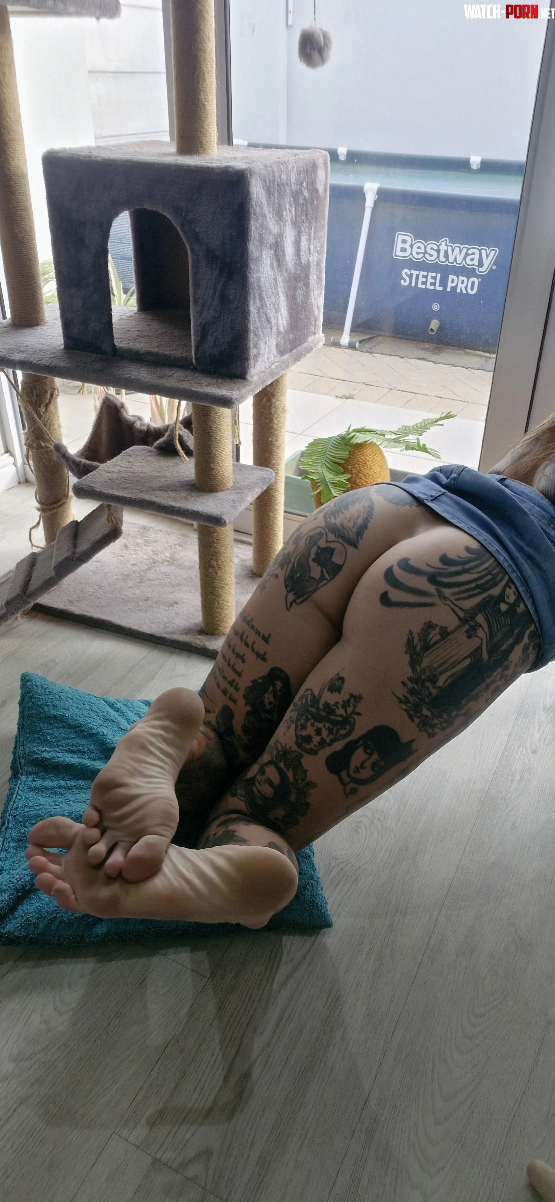 Feet 'n buns [OC] by clandestine_callie