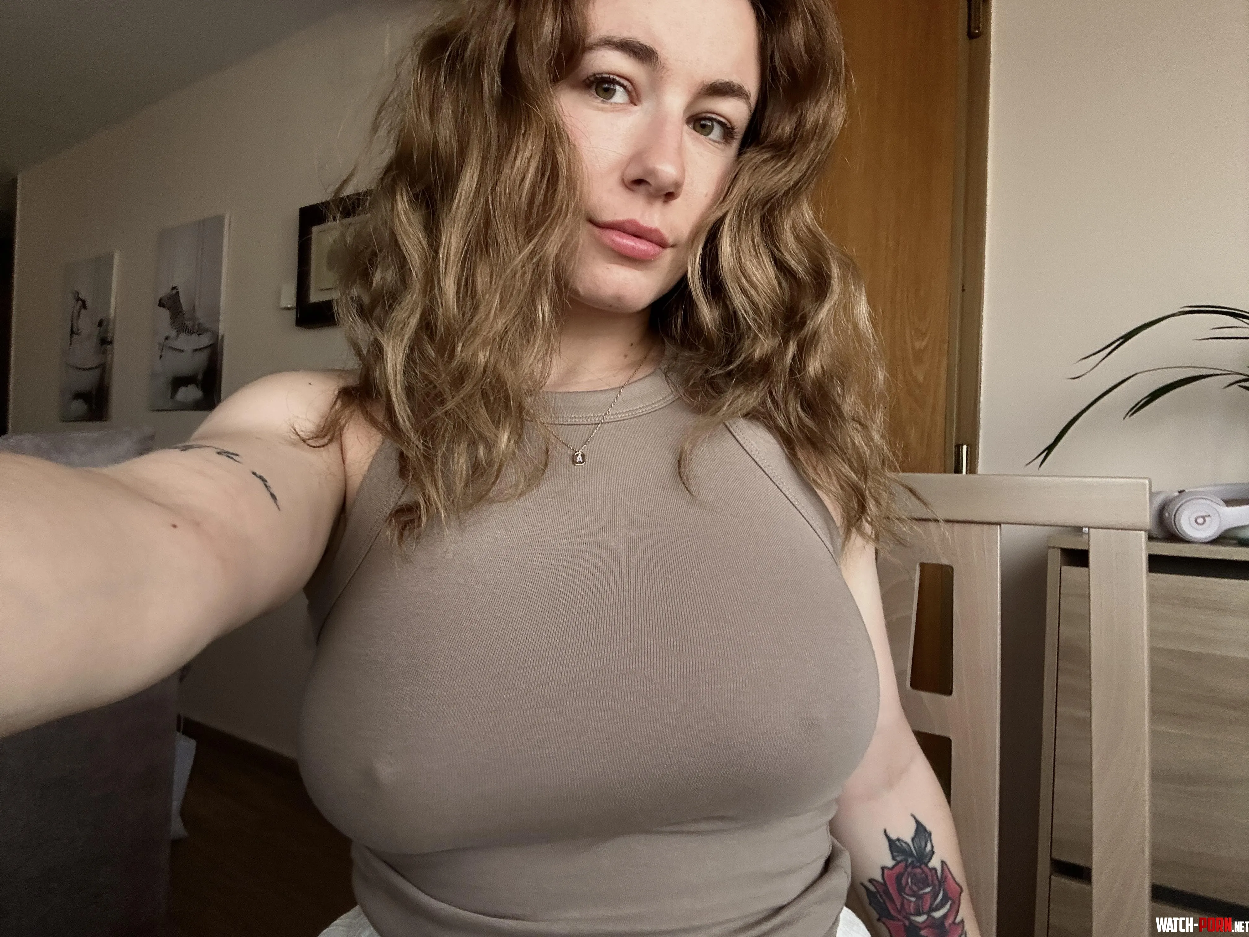 I think they'va hired me by rosiearia