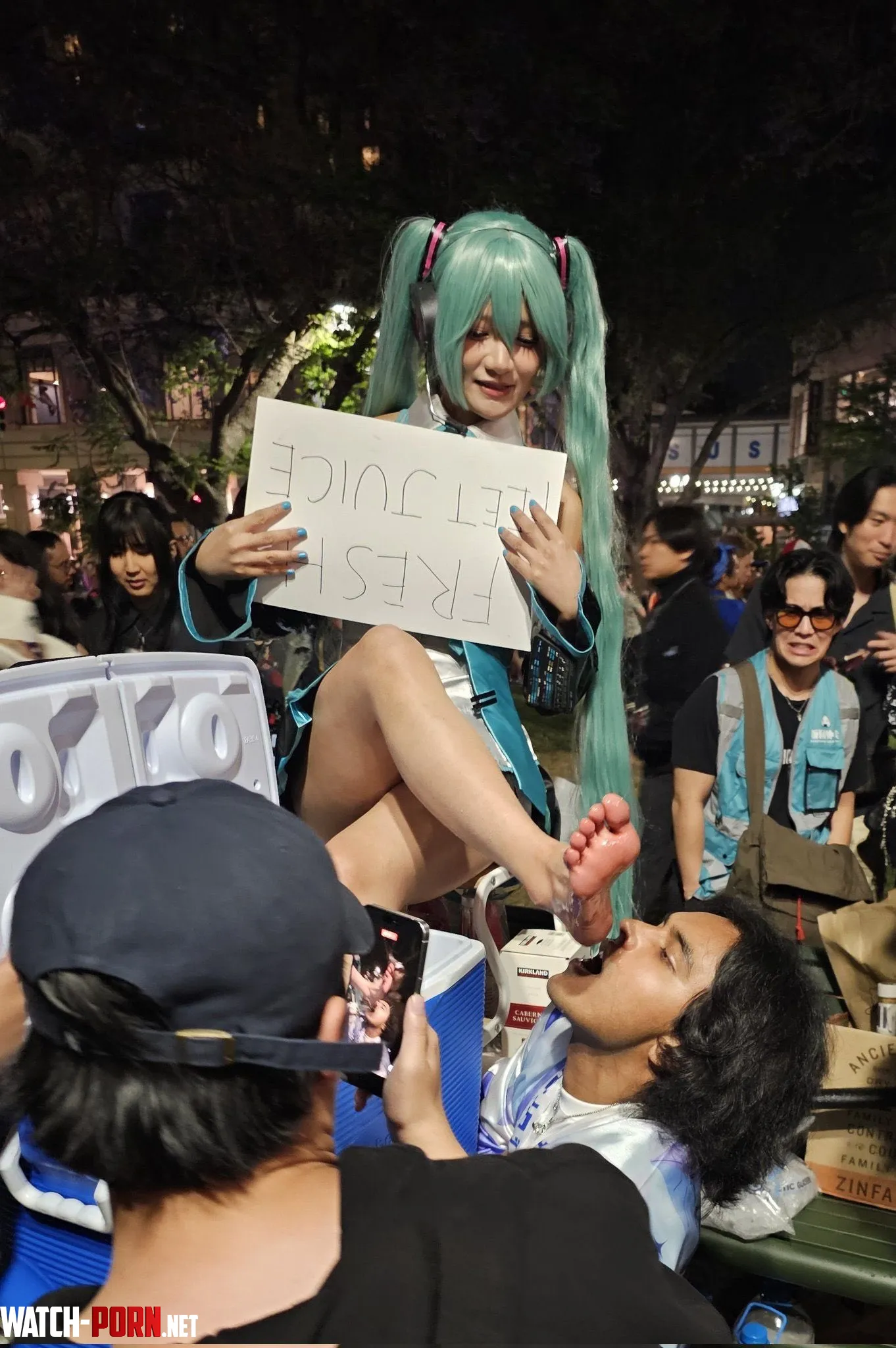 Hatsune Miku (Eimi) [Vocaloid] by asap_pocki