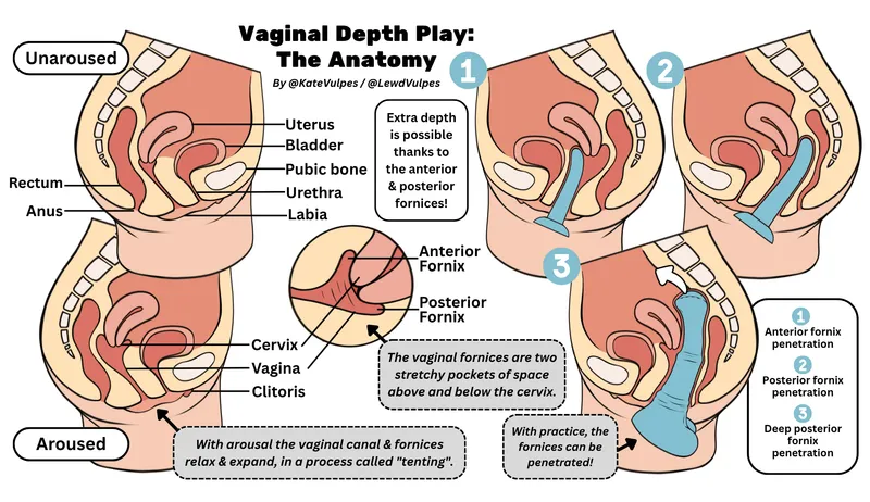 Thumbnail Deep Dive: The Anatomy of Vaginal Penetration by LewdVulpes | BadDragon
