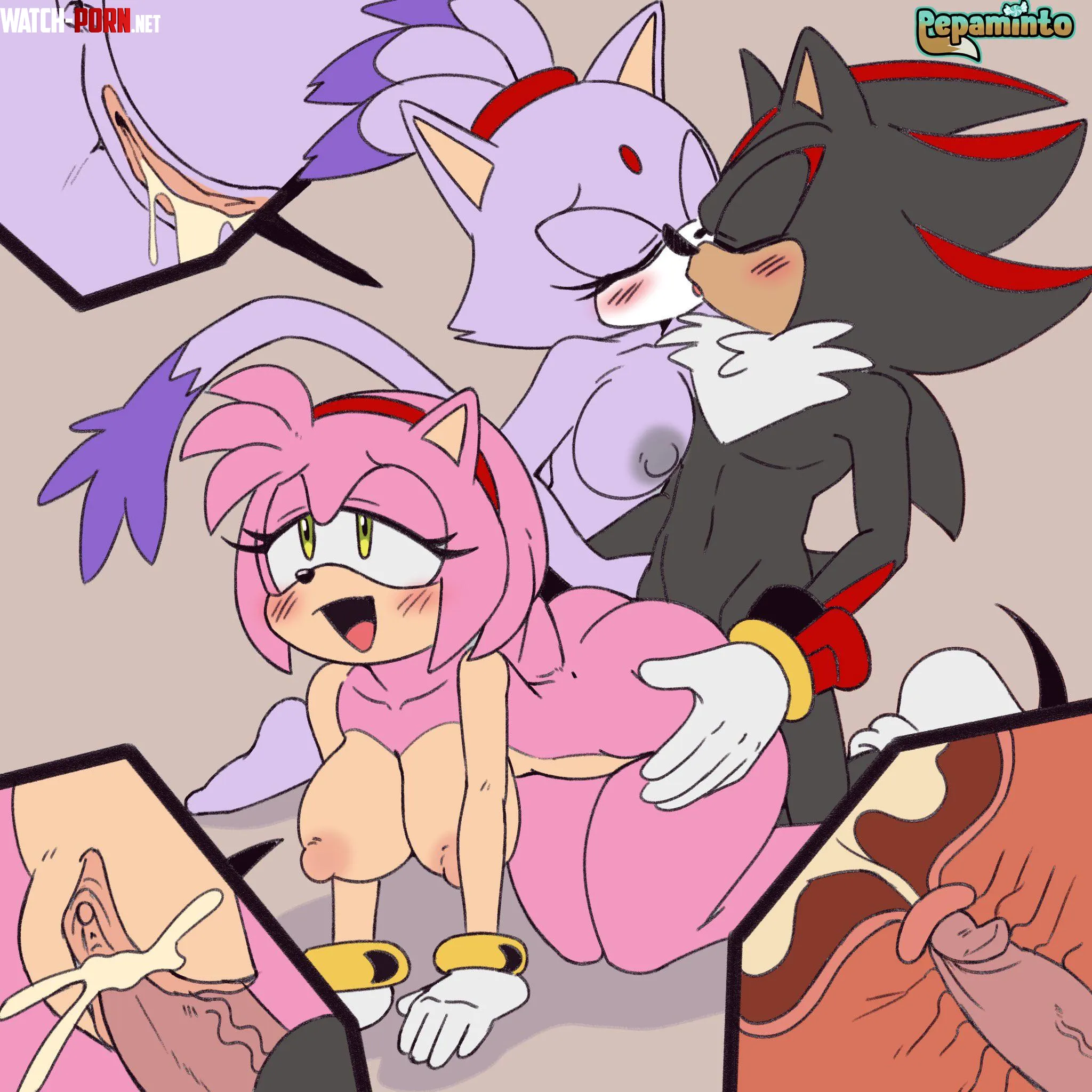Amy and blaze getting filled by the ultimate life-form (pegamintop) by skylander12345