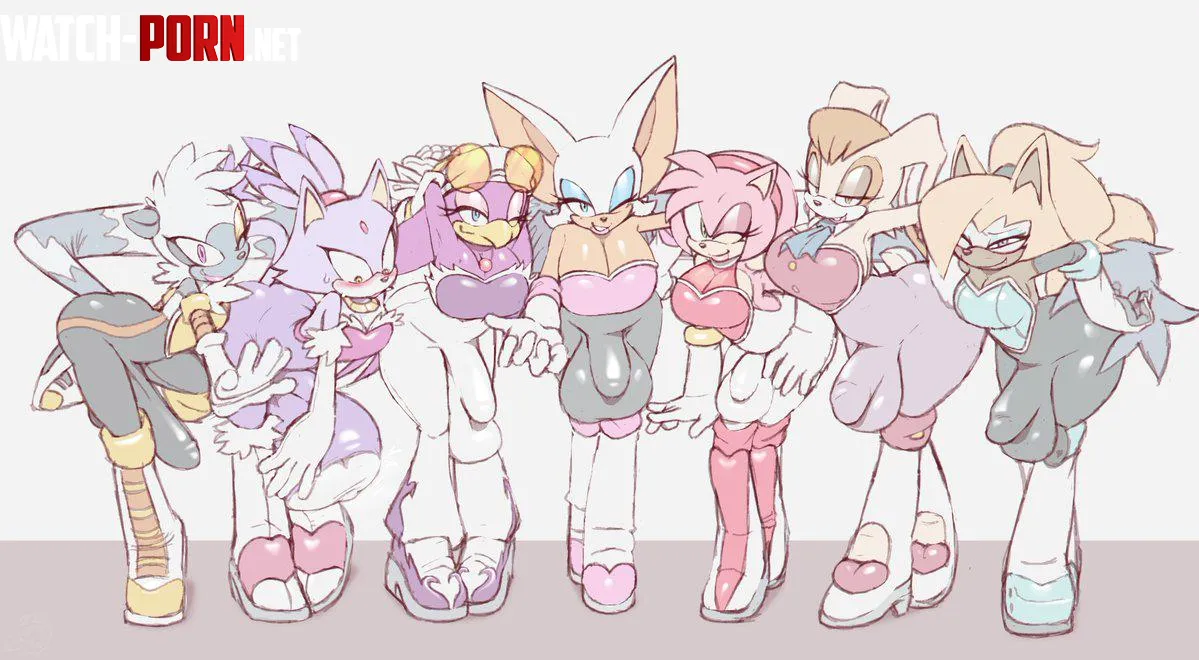 Tangle, BLAZE, Wave, Rouge, Amy, Vanilla, and Whisper posing for you~ (drakeinflates) by Pinokiothecow