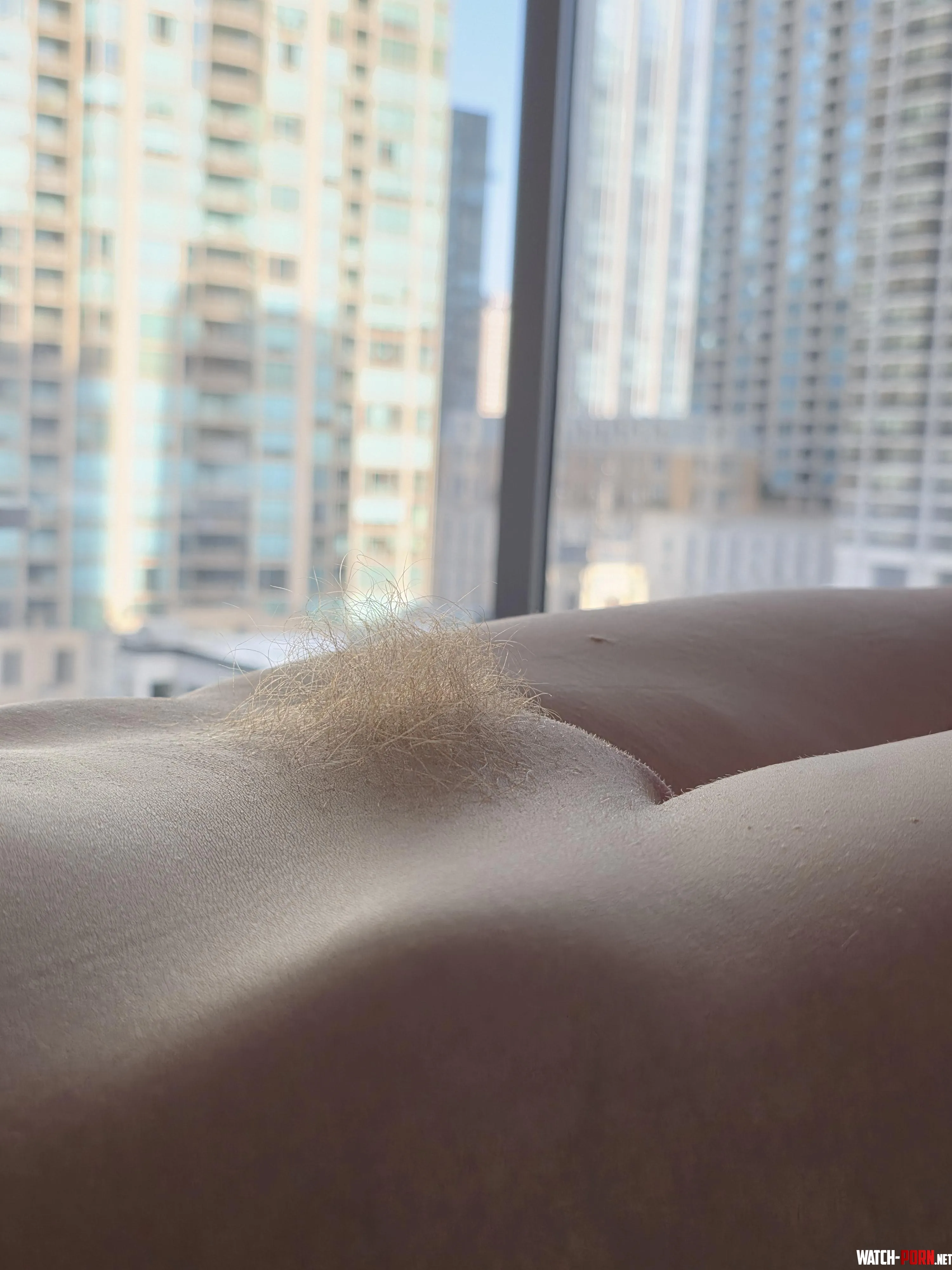 Morning glow by Charlotte_Doe
