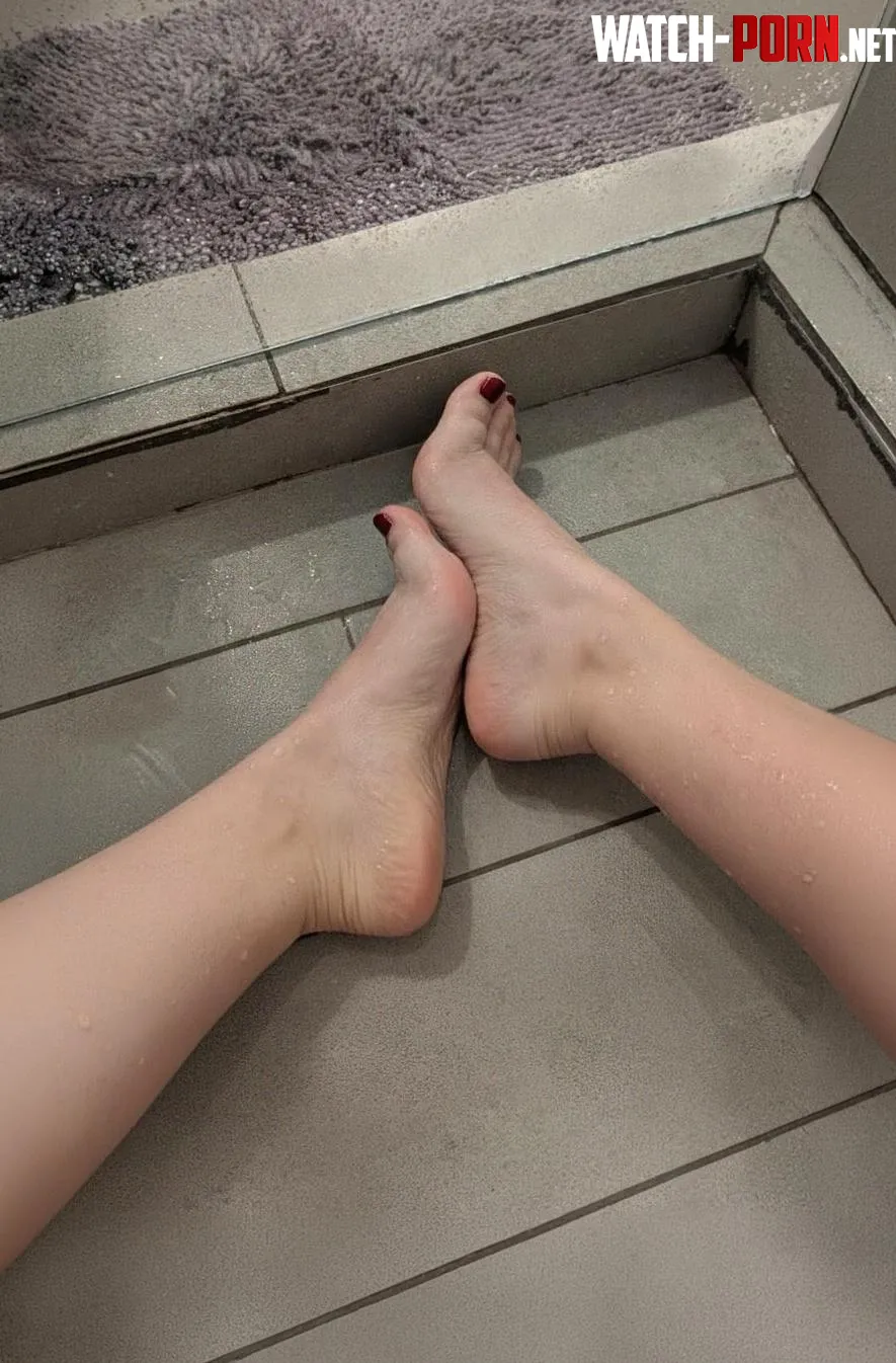 Comments and DM's welcome. (OC) by Chill_in_pepper