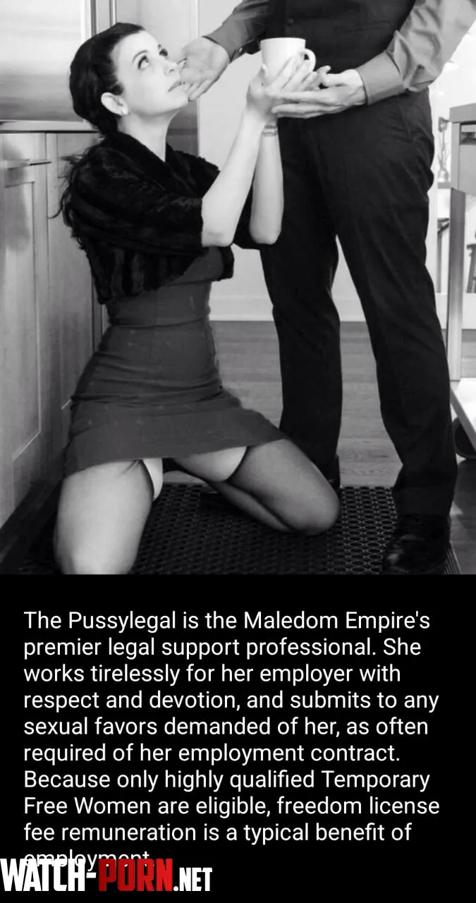 WANTED: Intelligent and Motivated Pussylegal by WhipsForFun