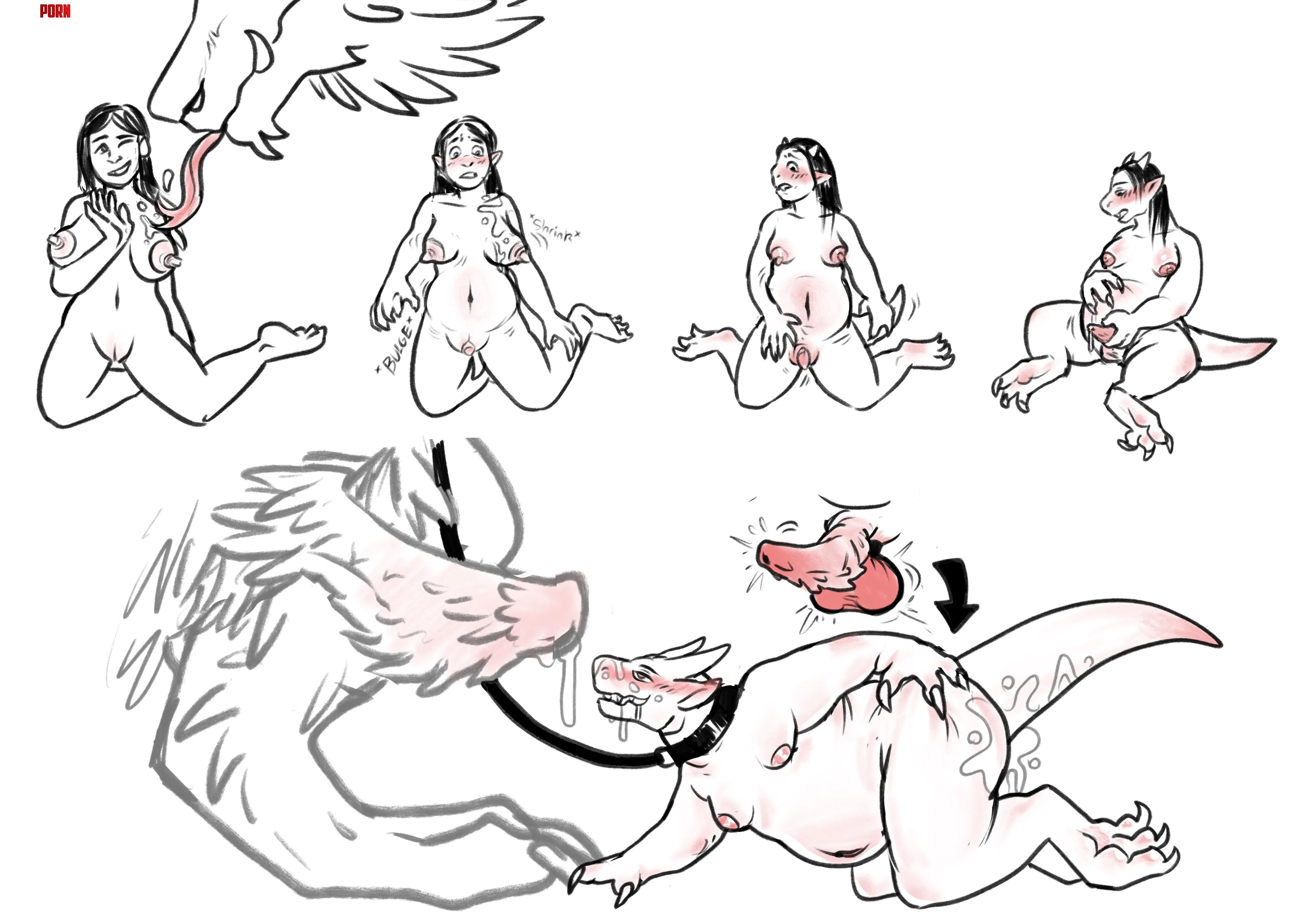 (oc) kobold initiation (f to m fat kobold) by avesnsfw