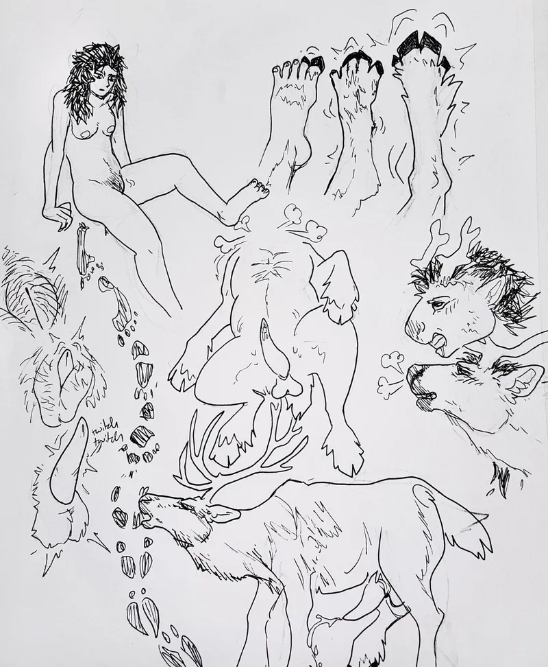 Thumbnail (oc) the caribou flu (f to m feral caribou in rut)