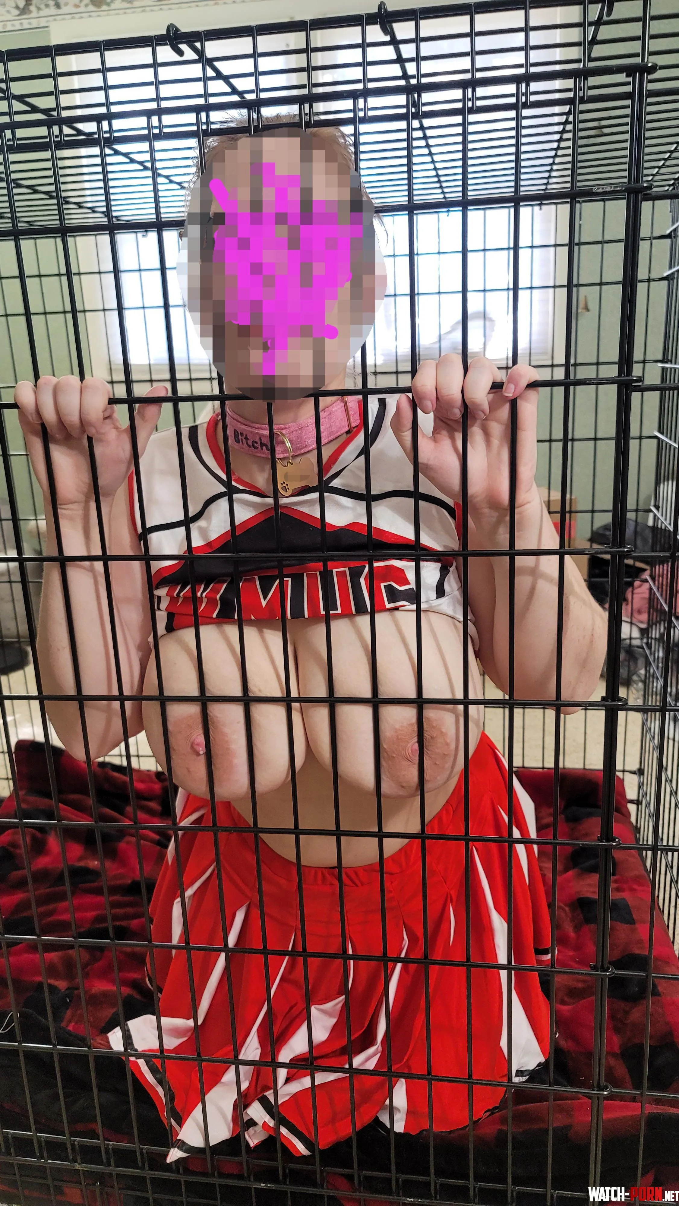 36Hs Caged by BravingThePublic
