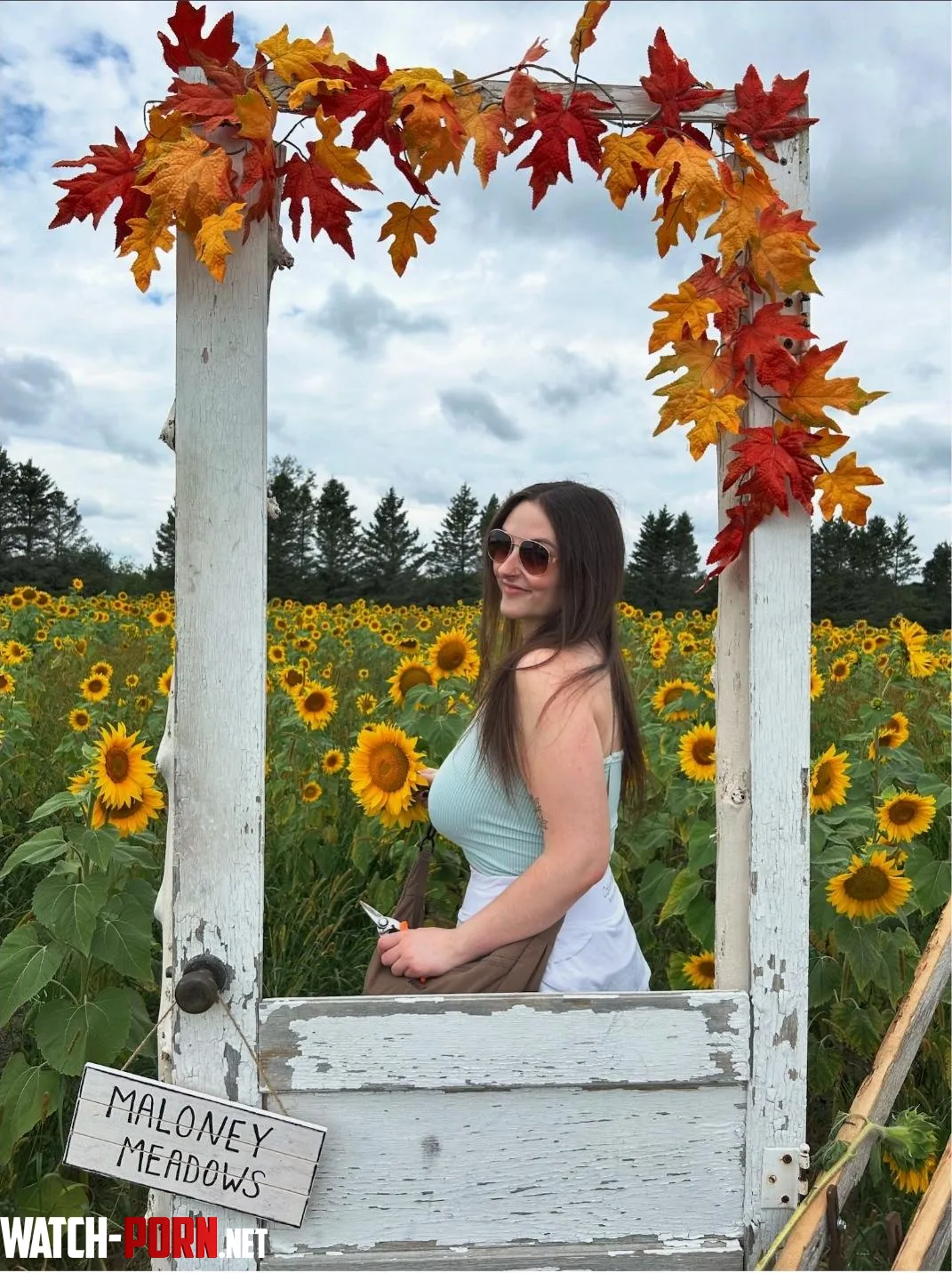 Sunflowers by Successful-Manner