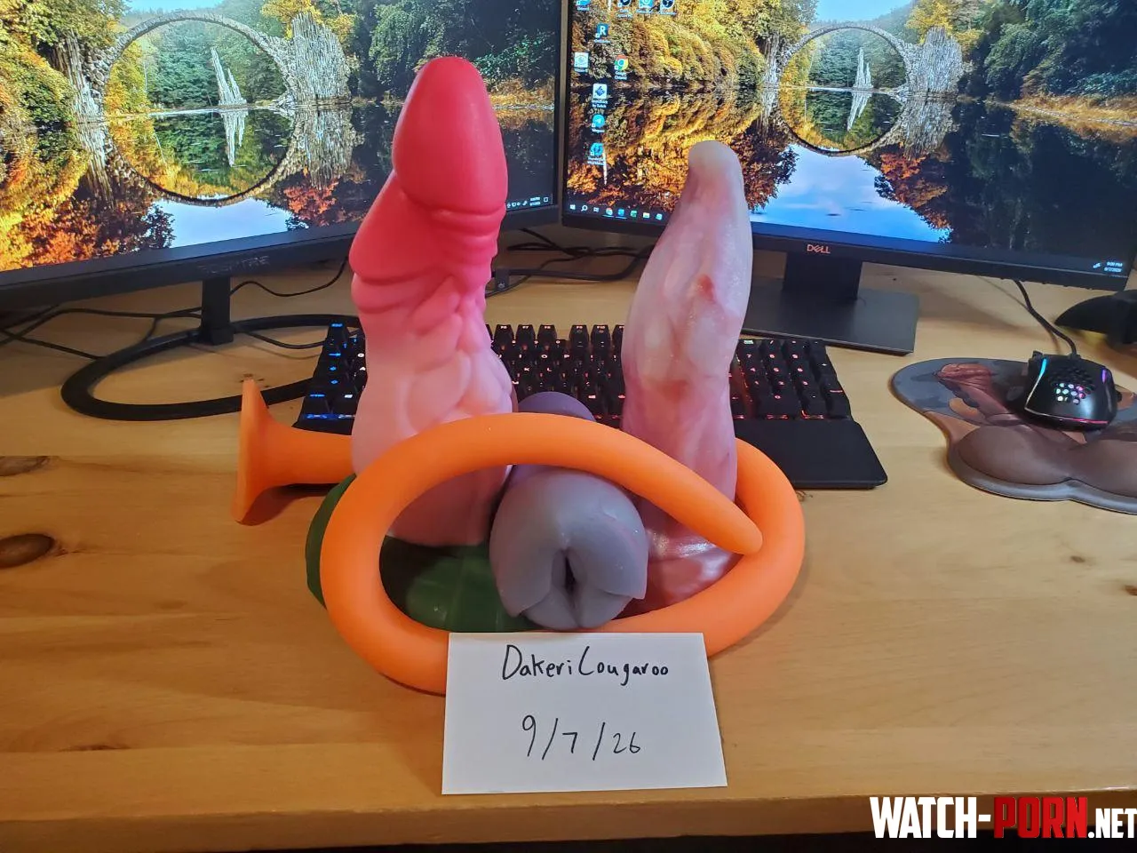 [WTS/WTT US] A Modest Selection of Toys by DakeriCougaroo