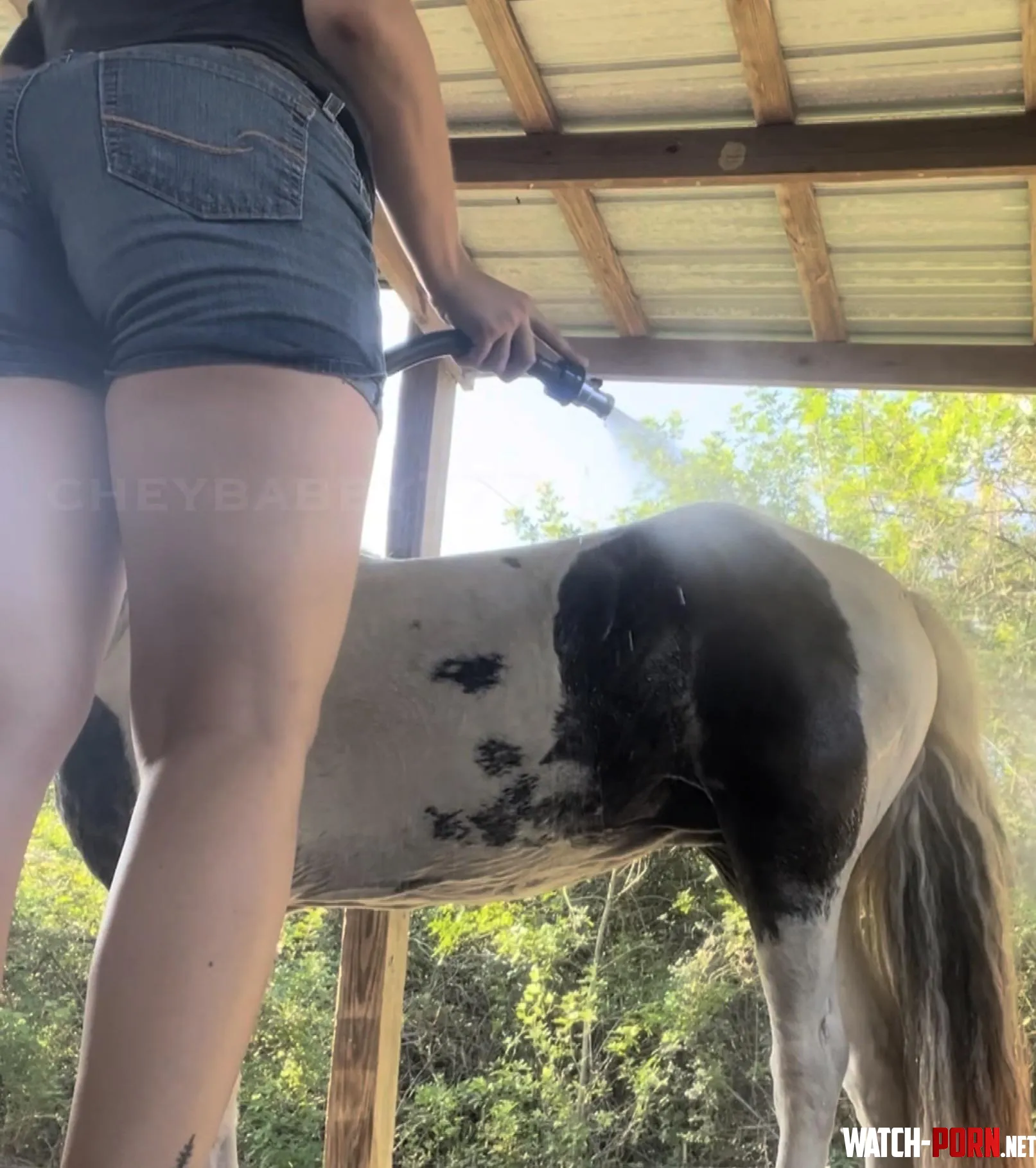Time for a cool down by cheybabby_777