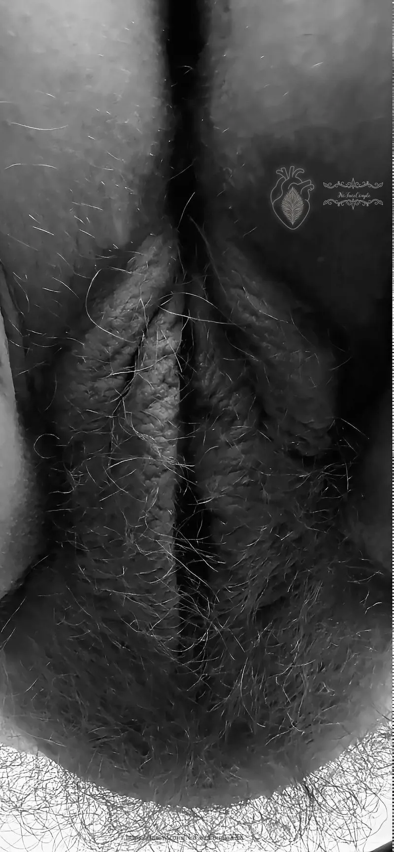Thumbnail What you see before I sit on your face. 🌳🐱🫦