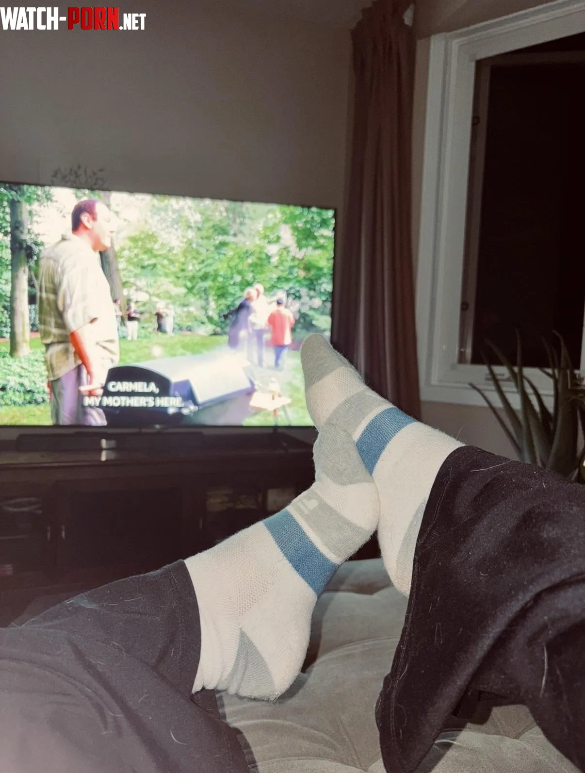 socks &amp; sopranos (&amp; dog hair oh my) (oc) by another_throw-away_