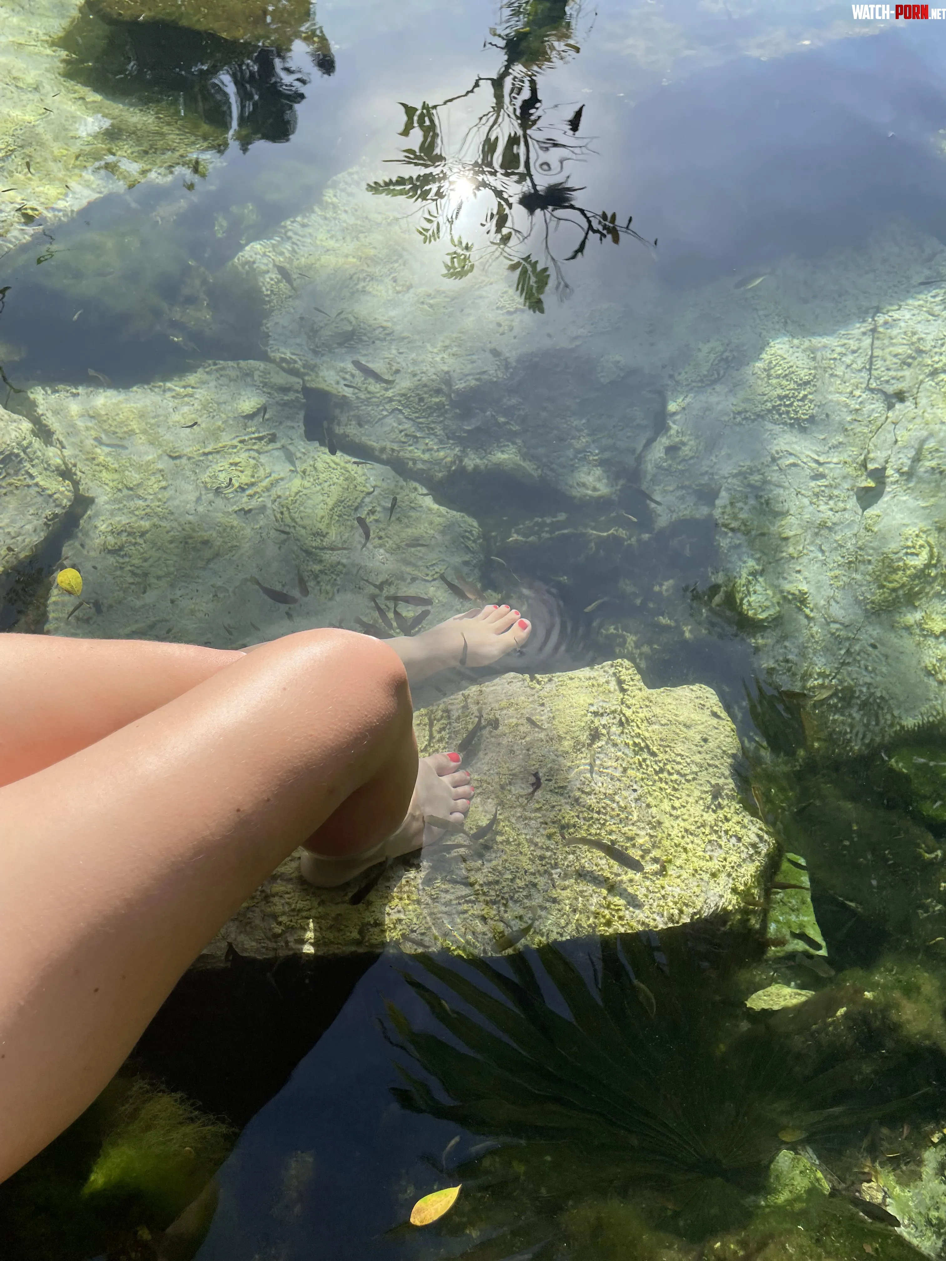 Would you love to be a fish so you could have the privilege of kissing my feet? 😏 OC by Maraqueenmuse