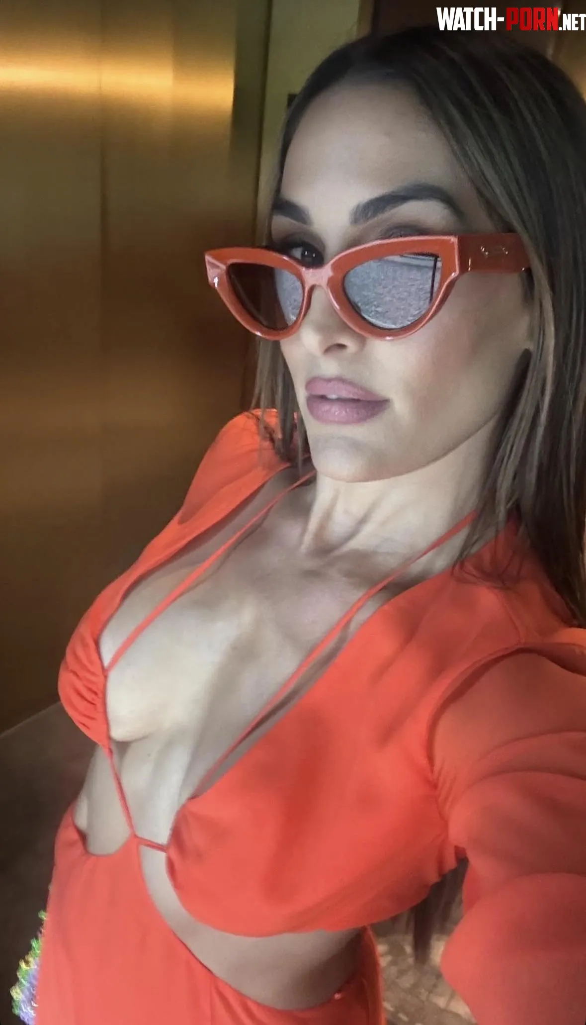 Nikki Bella by Long_History6705