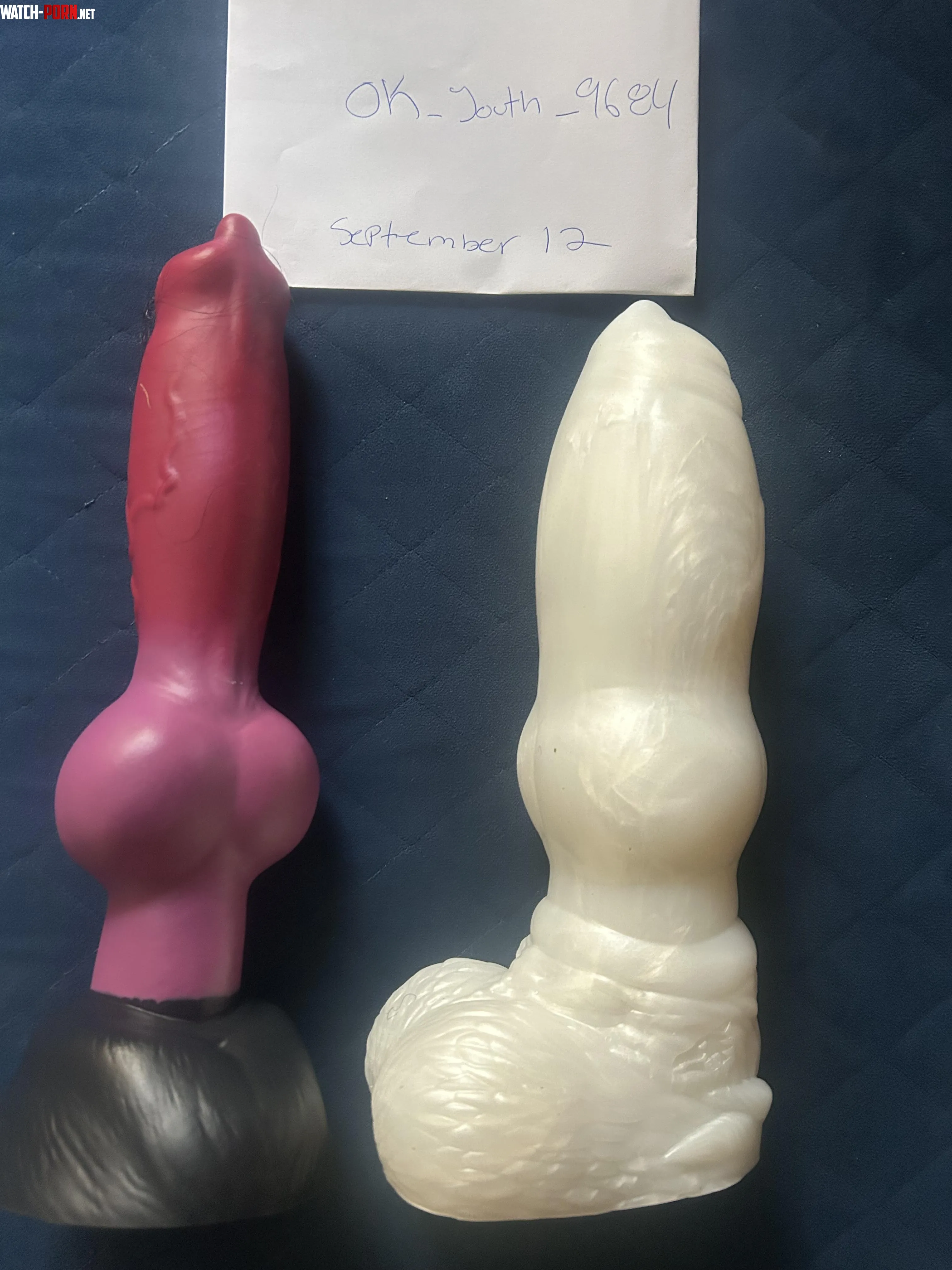 Wts Rex the Diego USA by Ok_Youth_9684