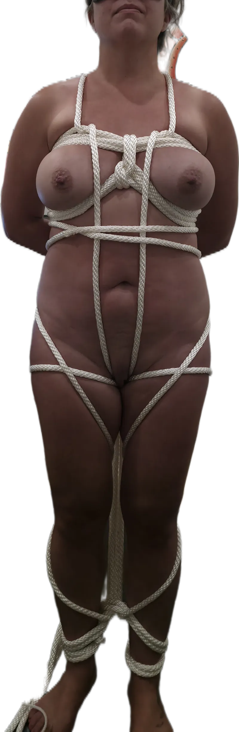 Thumbnail A bit tied up at the moment. [F] 🍍