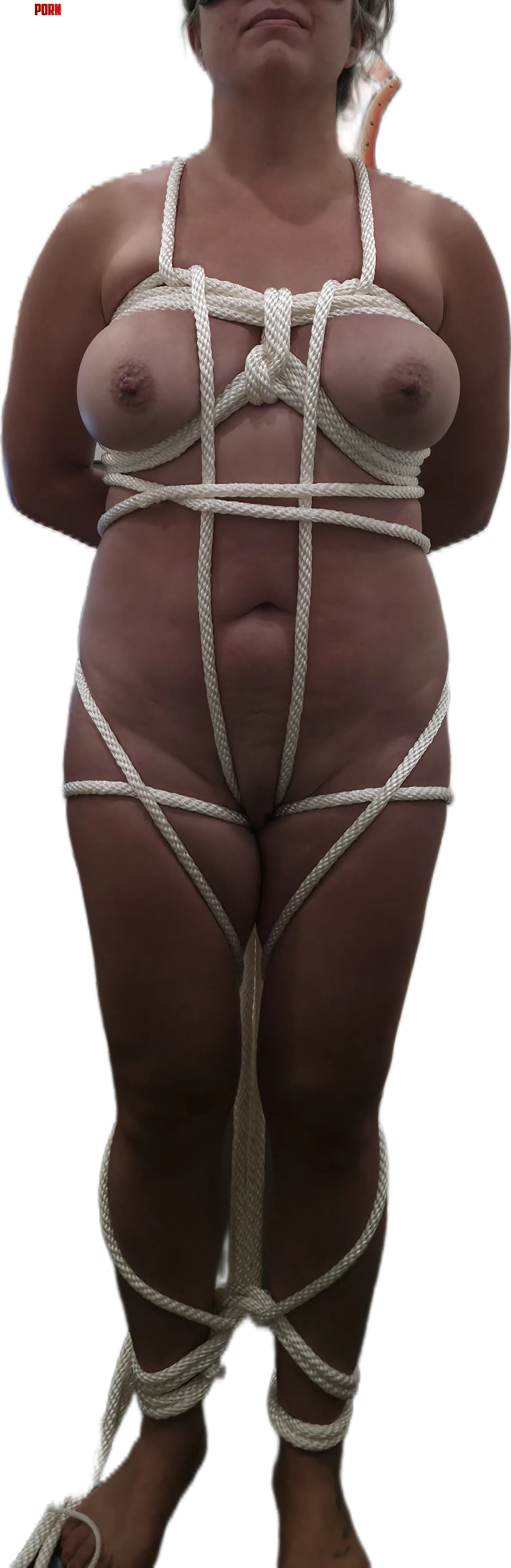A bit tied up at the moment. [F] 🍍 by swingers111