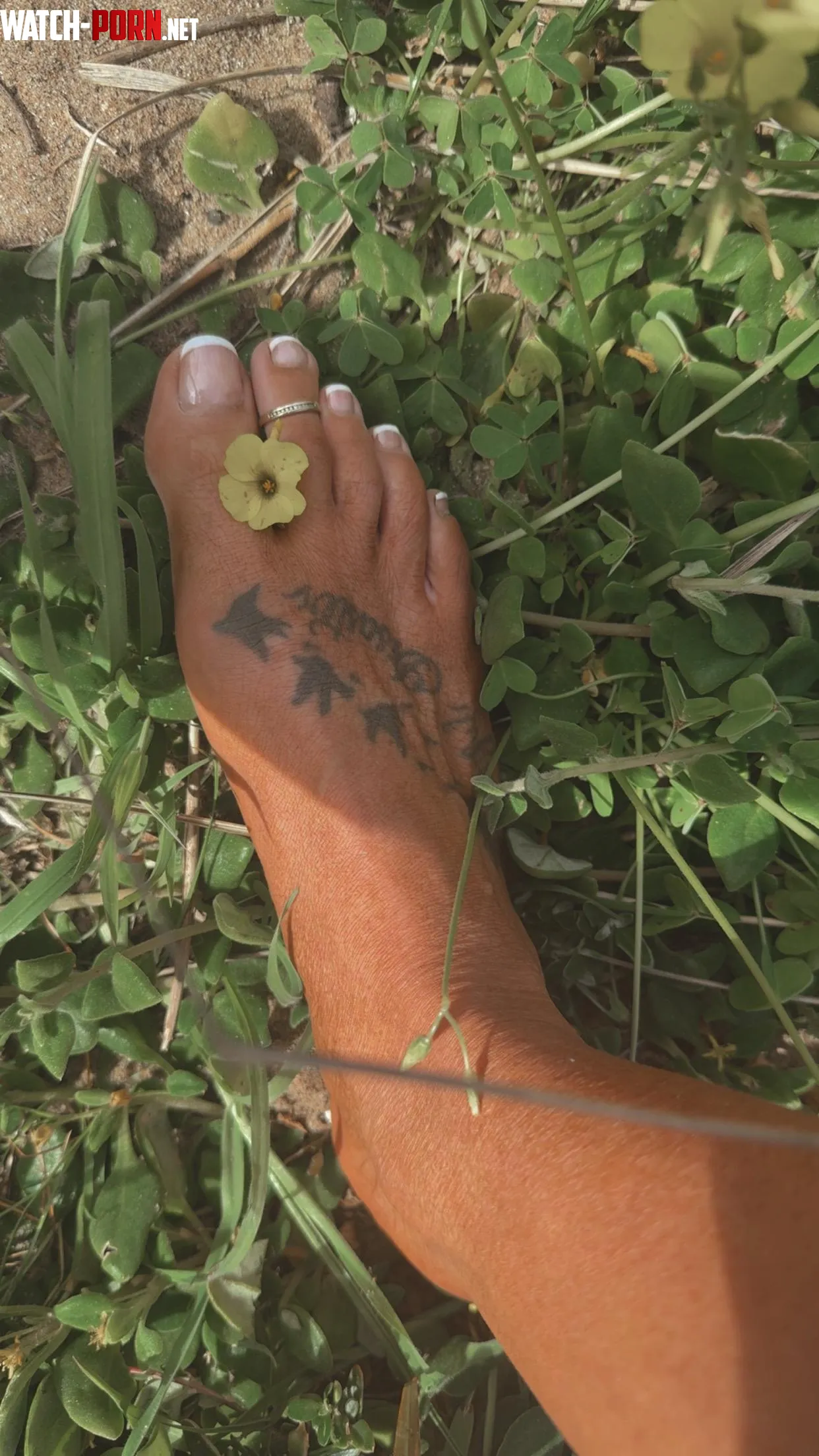 Pretty flower oc by Maia_Twerks