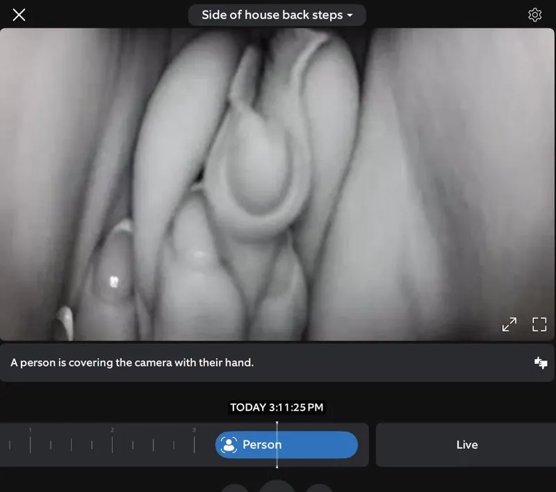 Thumbnail Lacewife. As found on ring camera