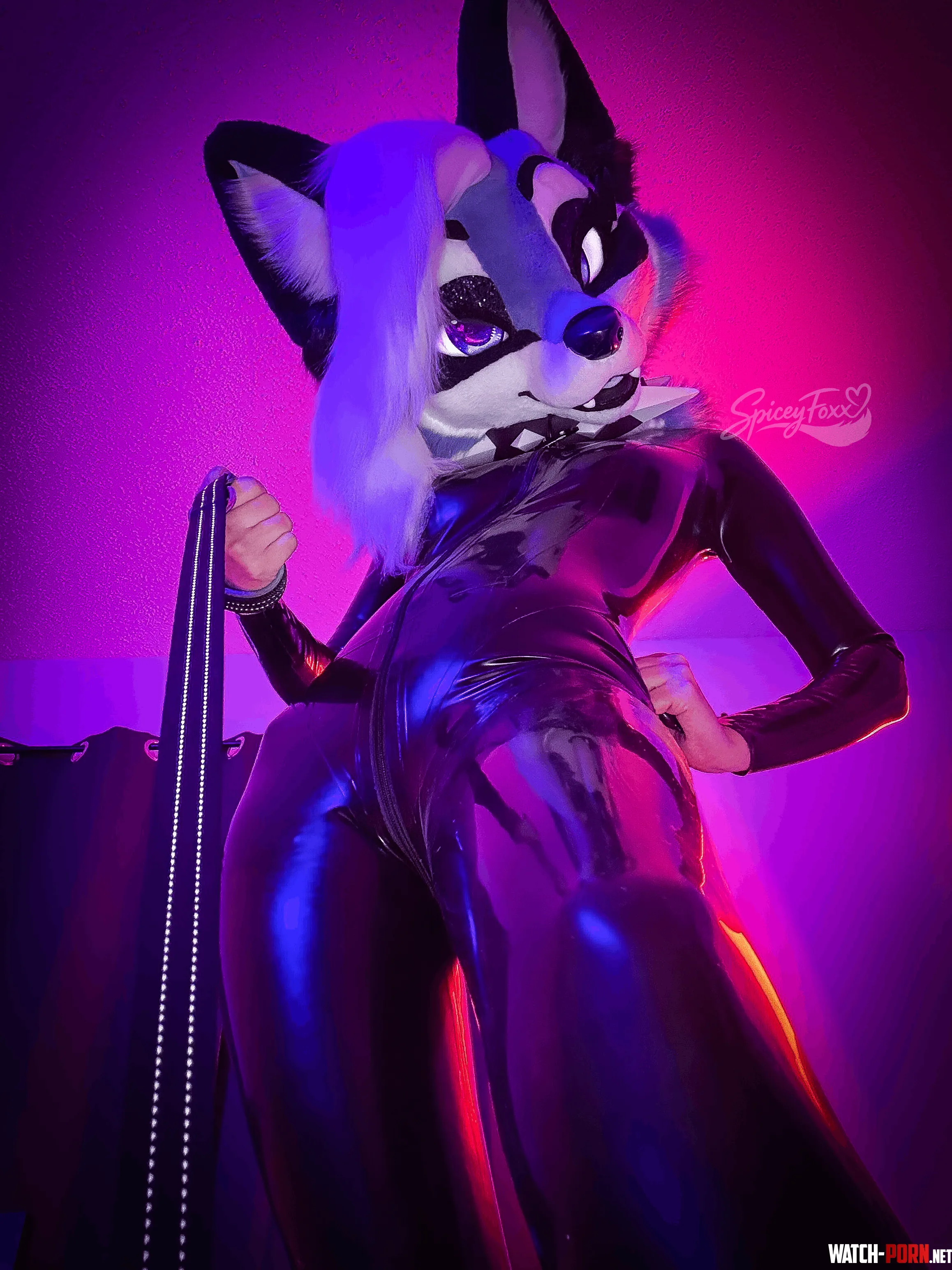You can stare. Just remember who’s holding the leash. 🖤 by SpiceyFoxx