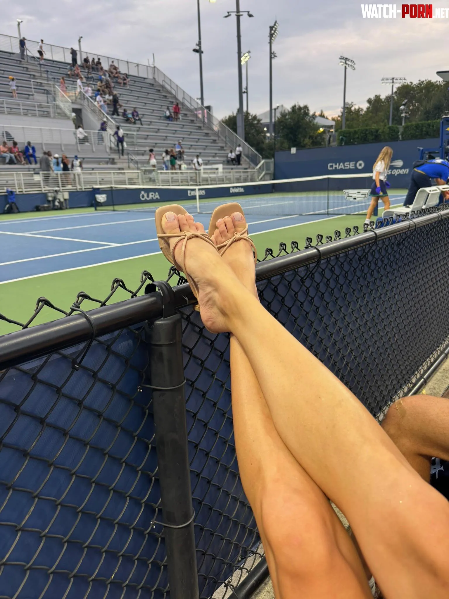 Courtside views. Which view do you prefer? 😉 oc by ViviWellington