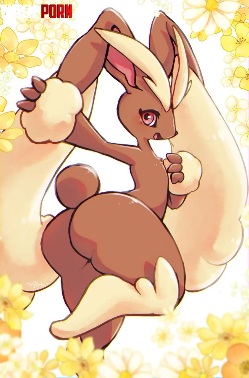 Lopunny looks happy... by LafterMastr