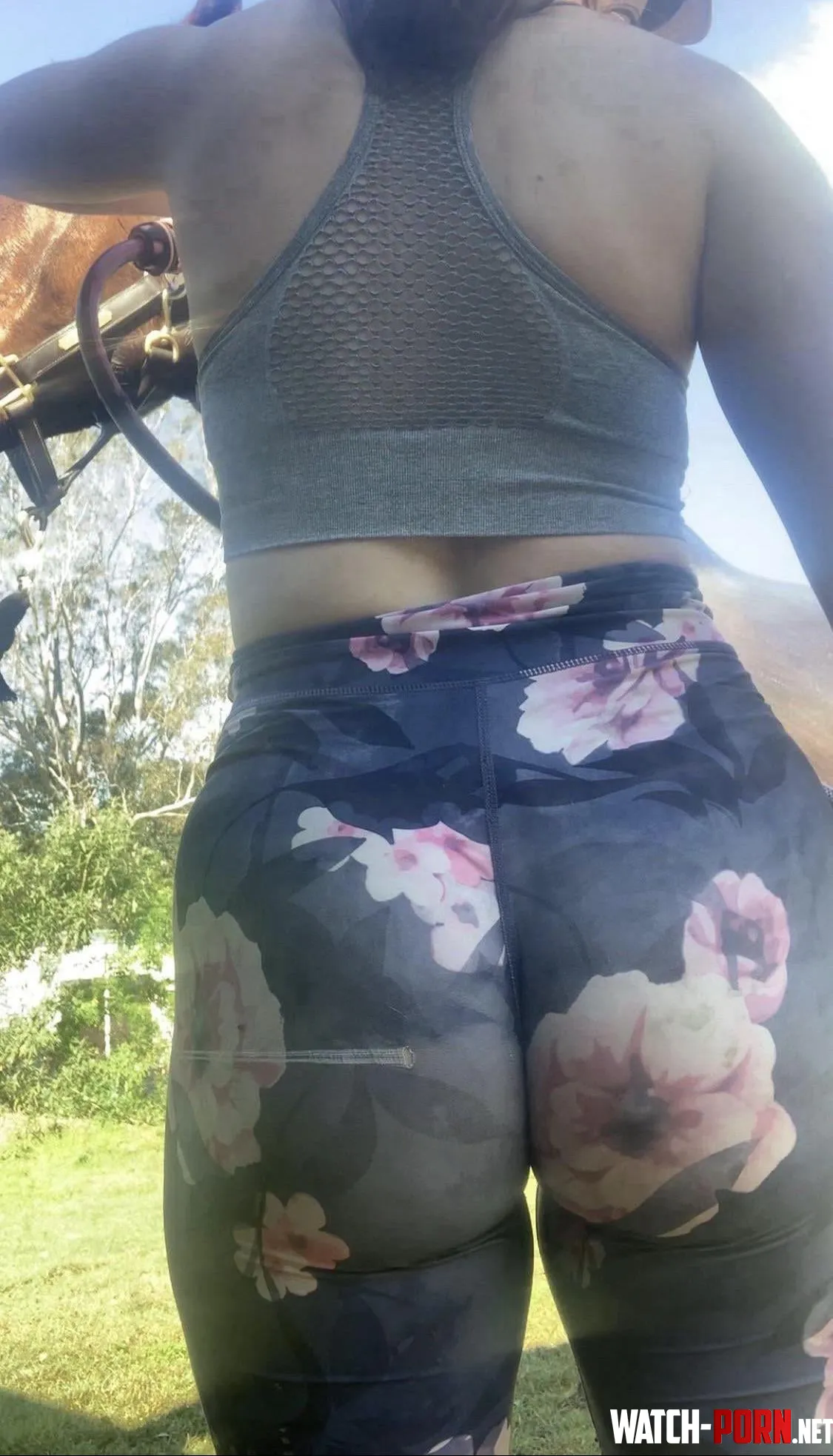 Gotta Keep those Ponies Clean by the_lingerie_cowgirl