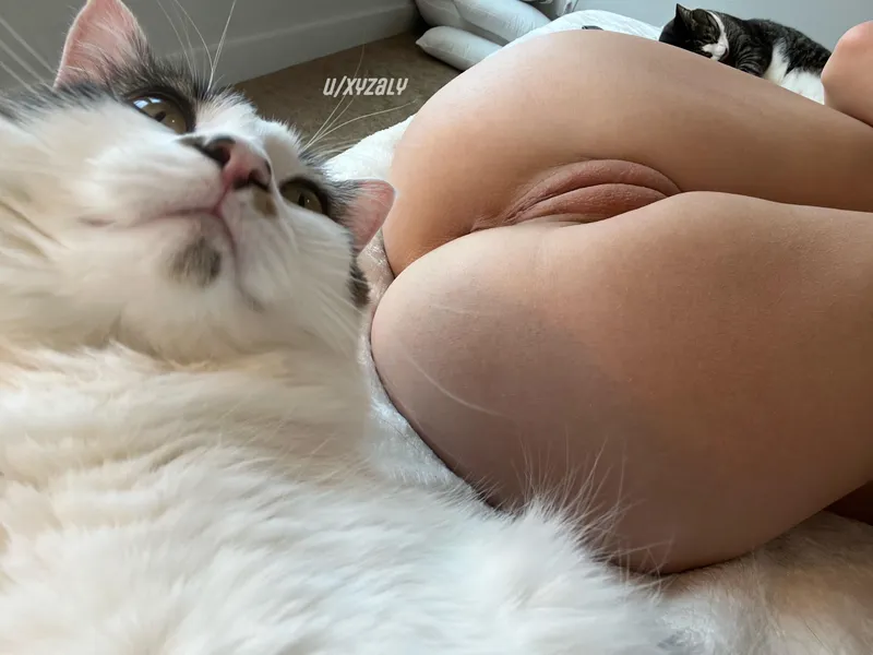 Thumbnail You might have to help me unlock if I can squirt or not haha