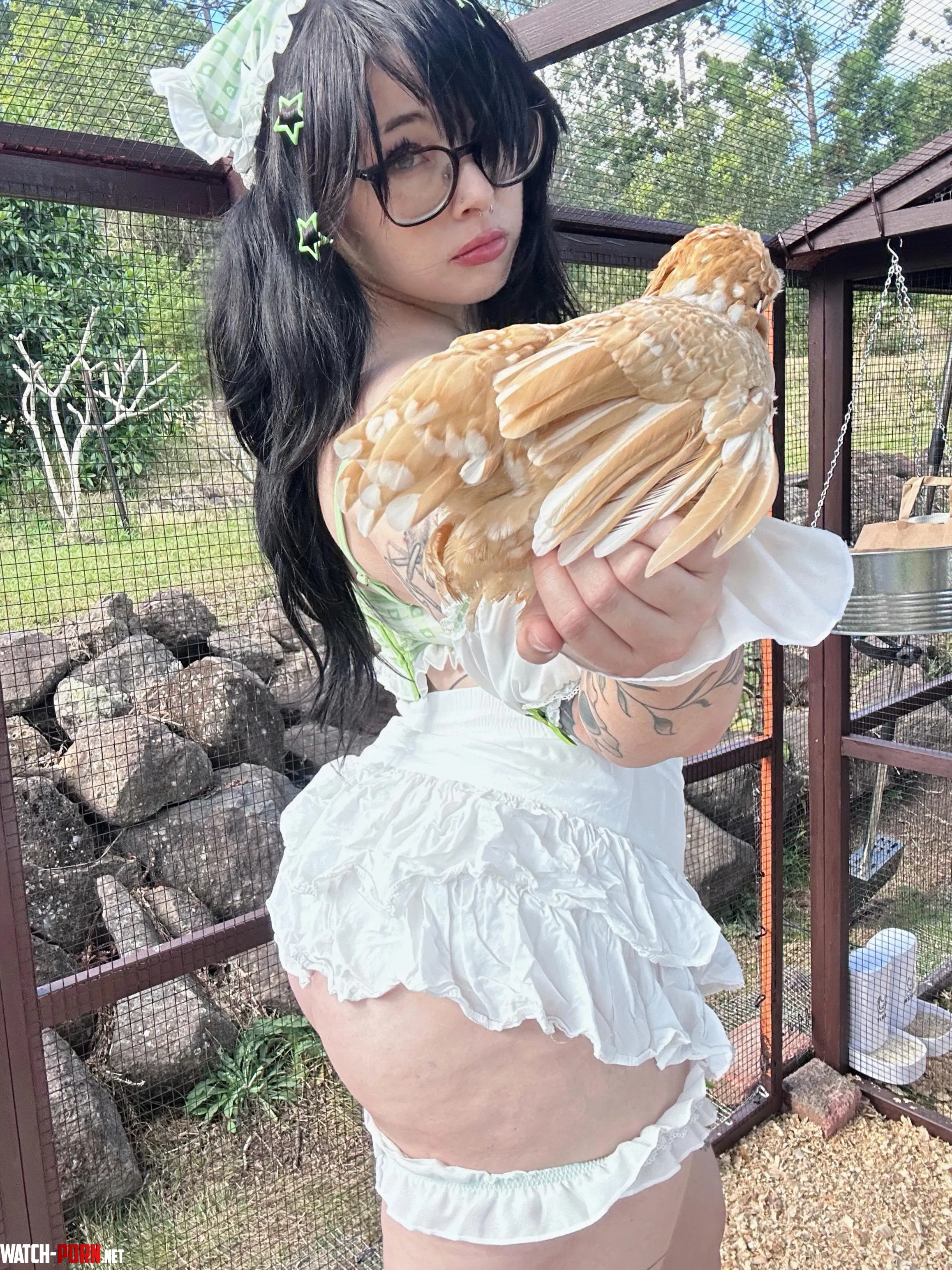 farmcore flirt reporting from the coop by Art3misWolf