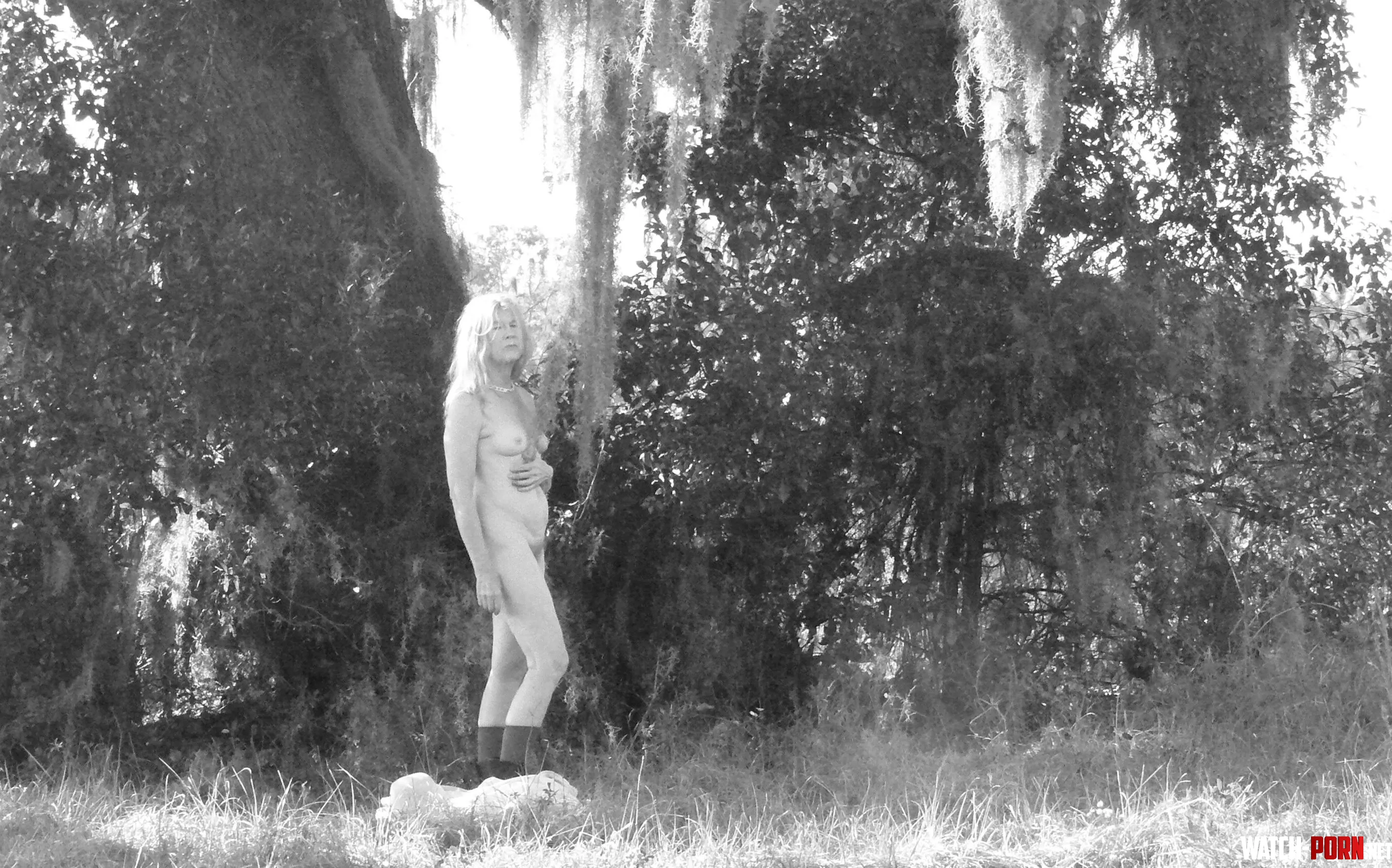 Spanish Moss by MathildeGilf