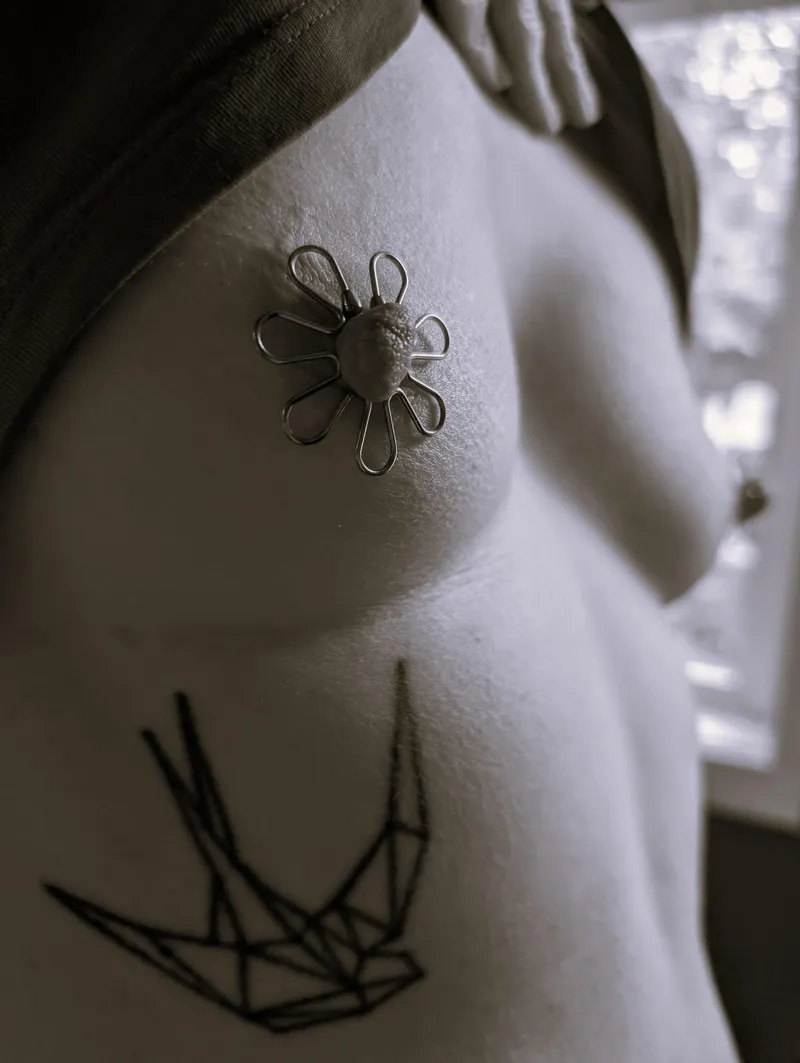 Thumbnail More nipple presentation jewelry by TOYST_OF