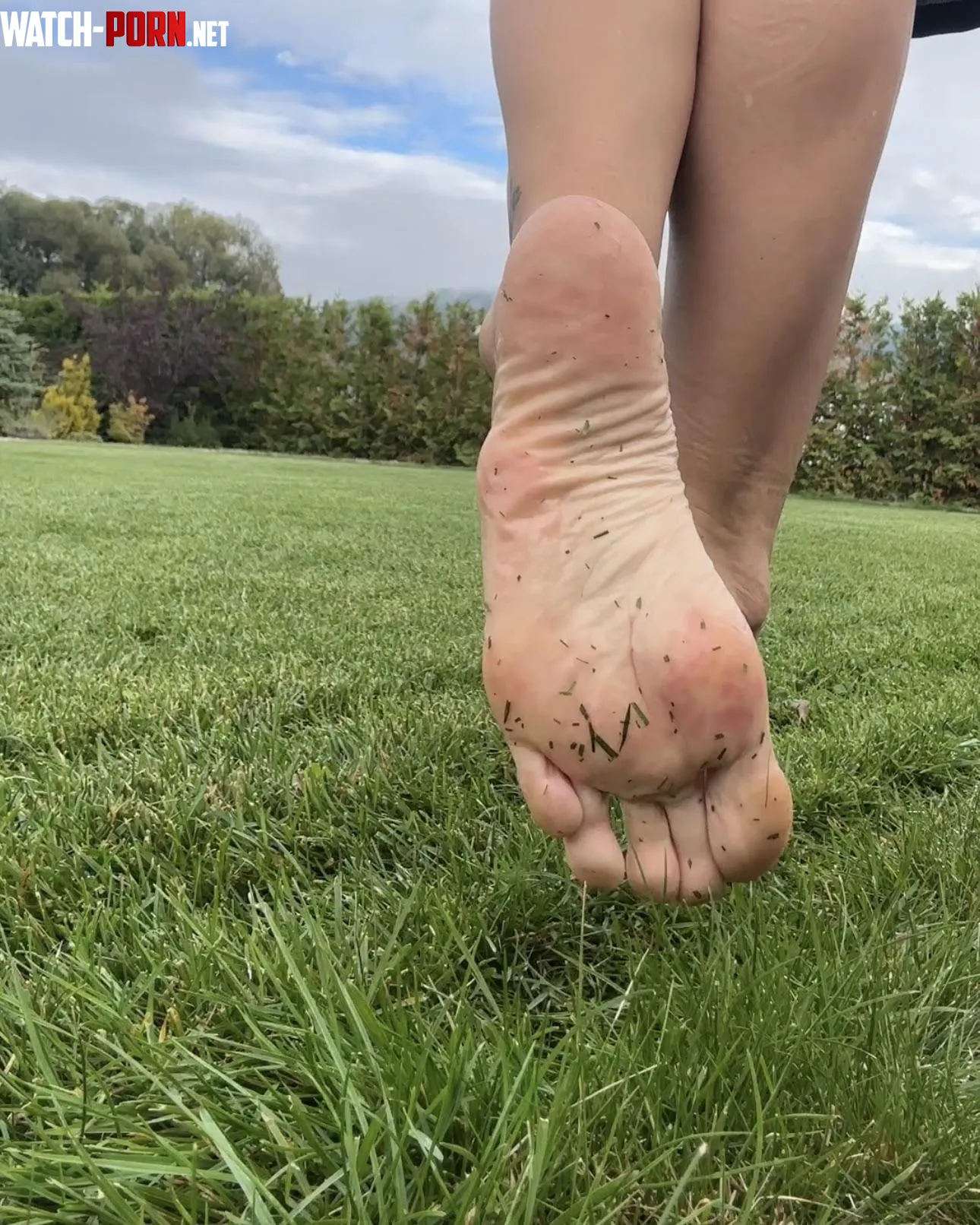 The feeling of cool grass under my soft soles is amazing. Tell me, what would you do if you found these dirty feet right in front of you? 🌿👣 by Maya_BronzeToes
